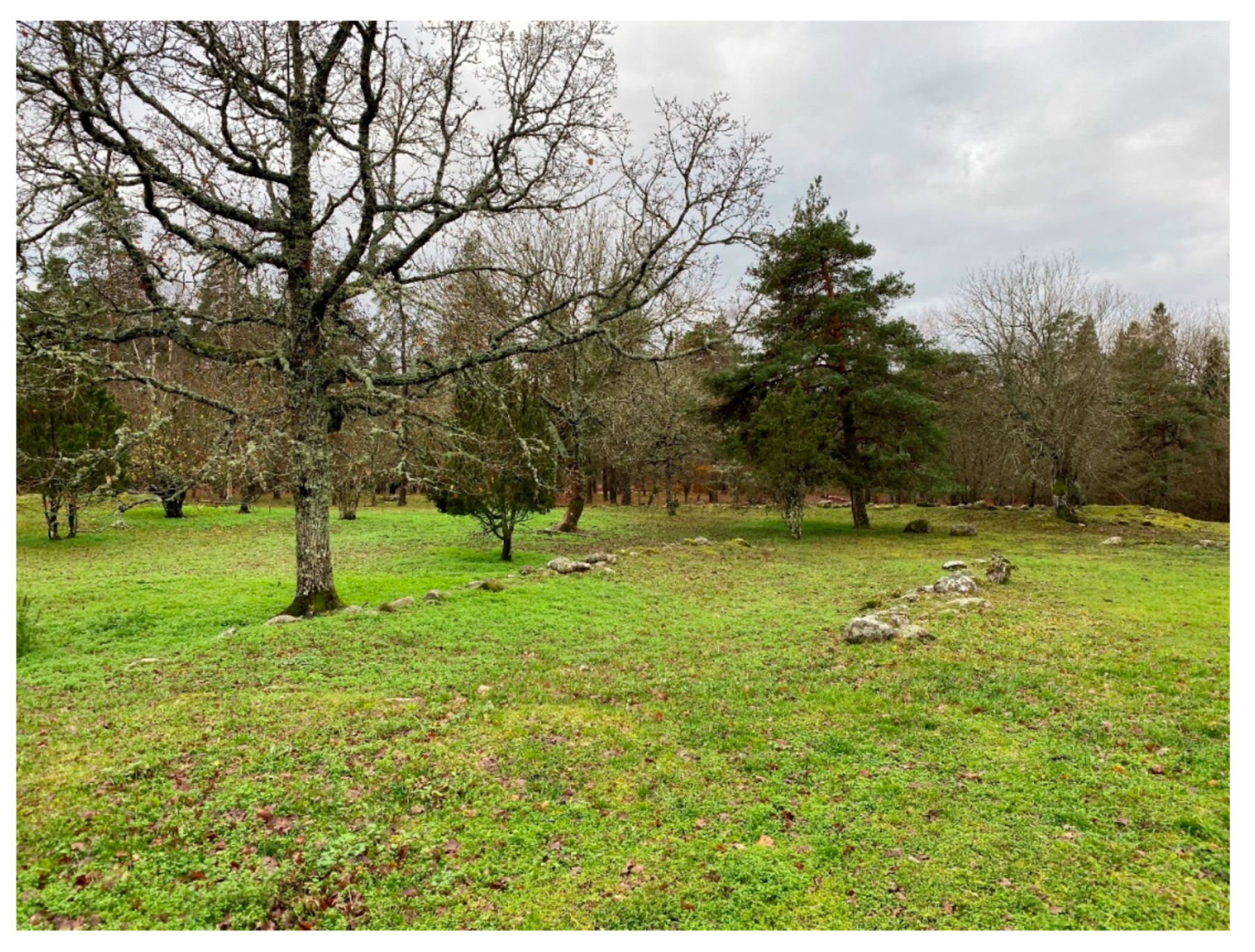 Remotesensing 12 01411 g006