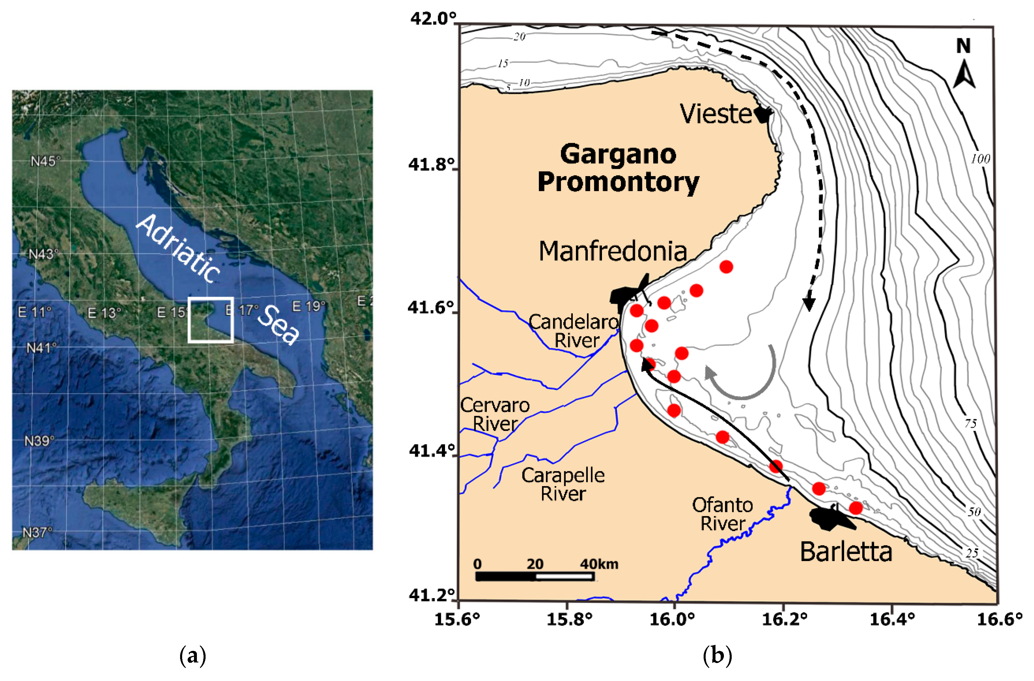 Remote Sensing | Free Full-Text | Local, Daily, and Total Bio-Optical  Models of Coastal Waters of Manfredonia Gulf Applied to Simulated Data of  CHRIS, Landsat TM, MIVIS, MODIS, and PRISMA Sensors for