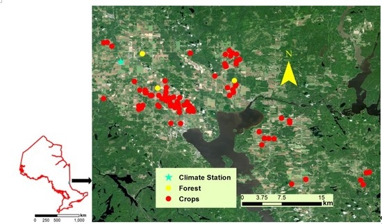 Remote Sensing | Free Full-Text | Detection of Crop Seeding and Harvest  through Analysis of Time-Series Sentinel-1 Interferometric SAR Data | HTML