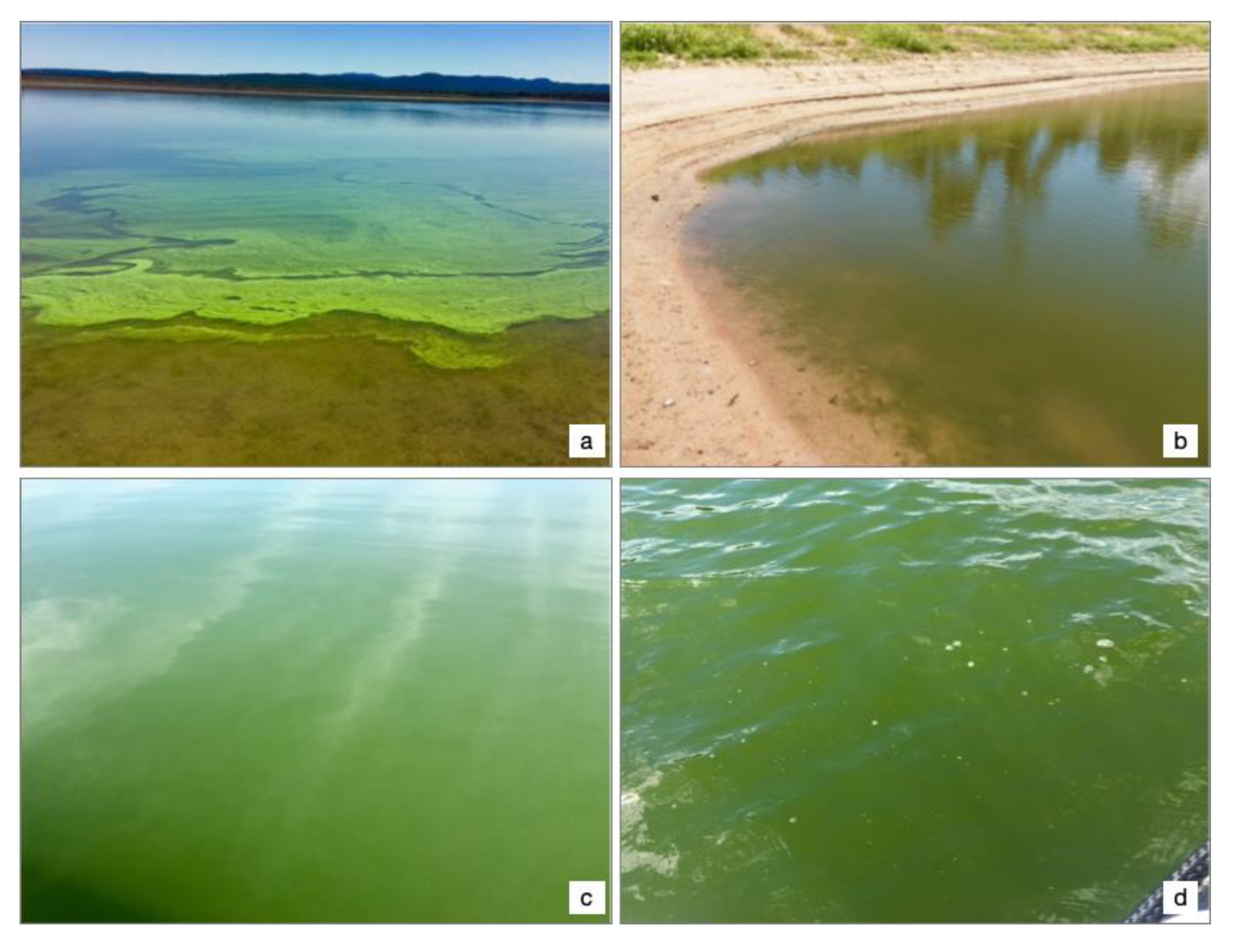 Remotesensing 12 01578 g001