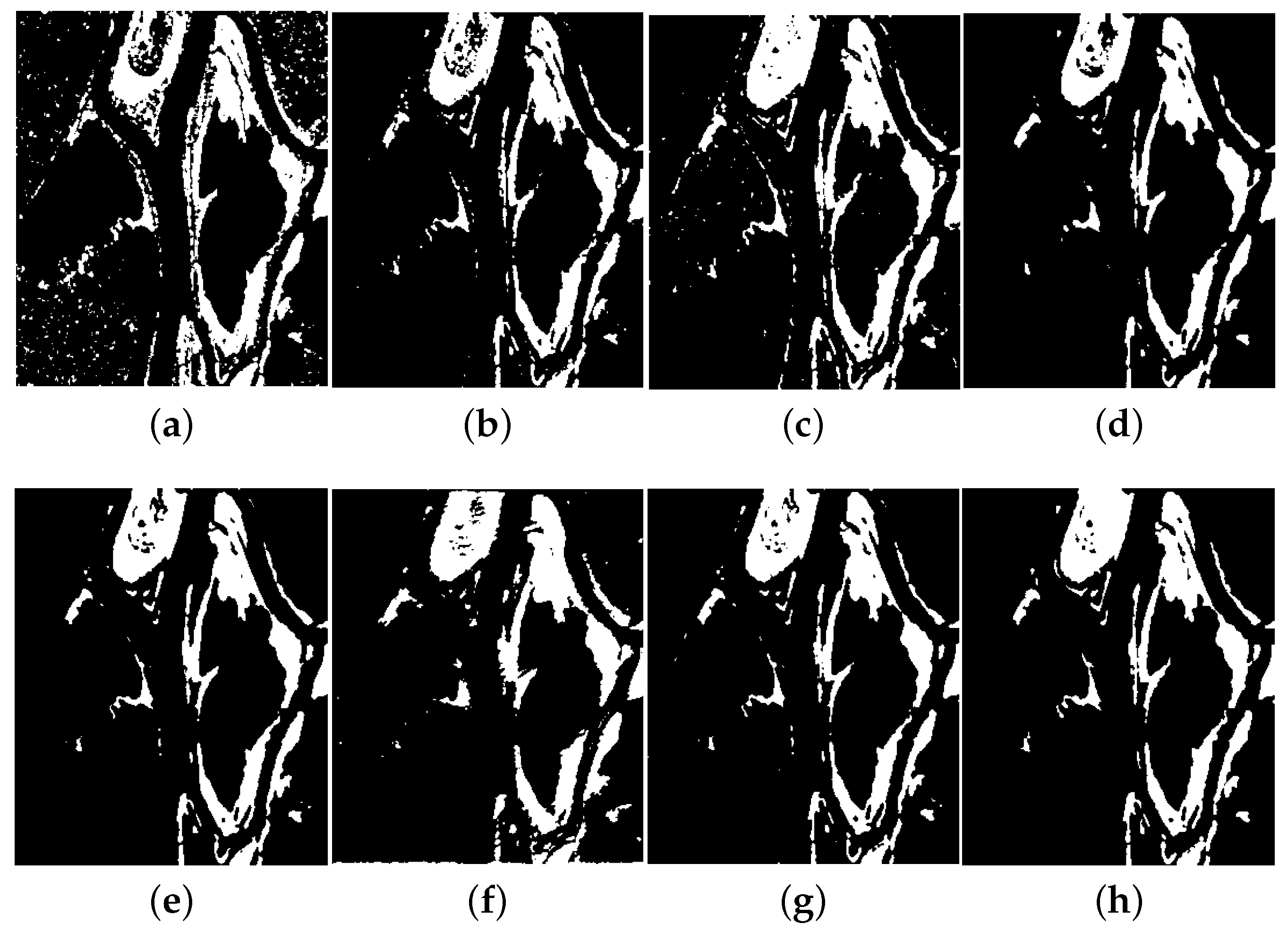 Remotesensing 12 01868 g019 Remotesensing 12 01868 g019