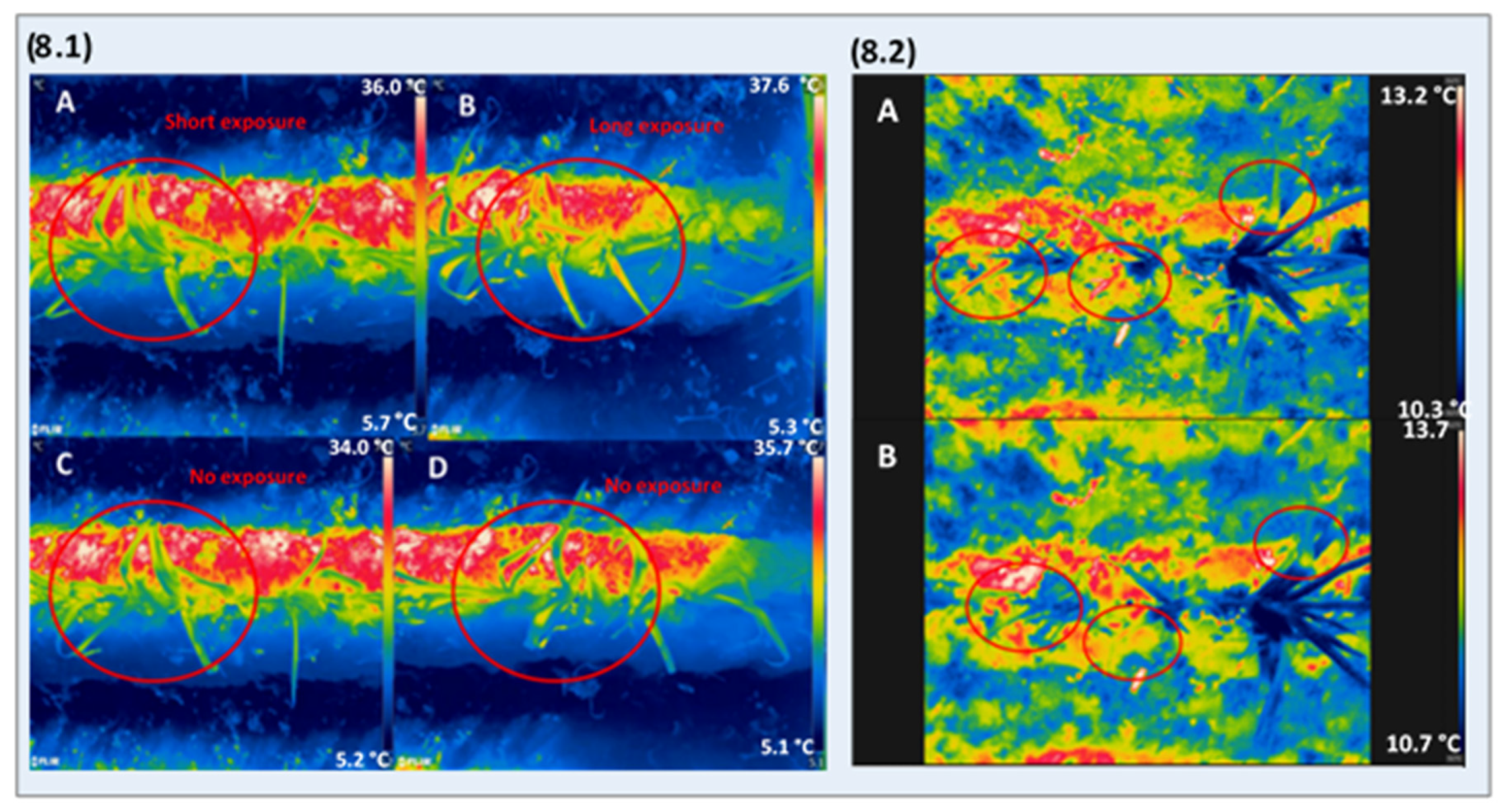 Remotesensing 12 01939 g008