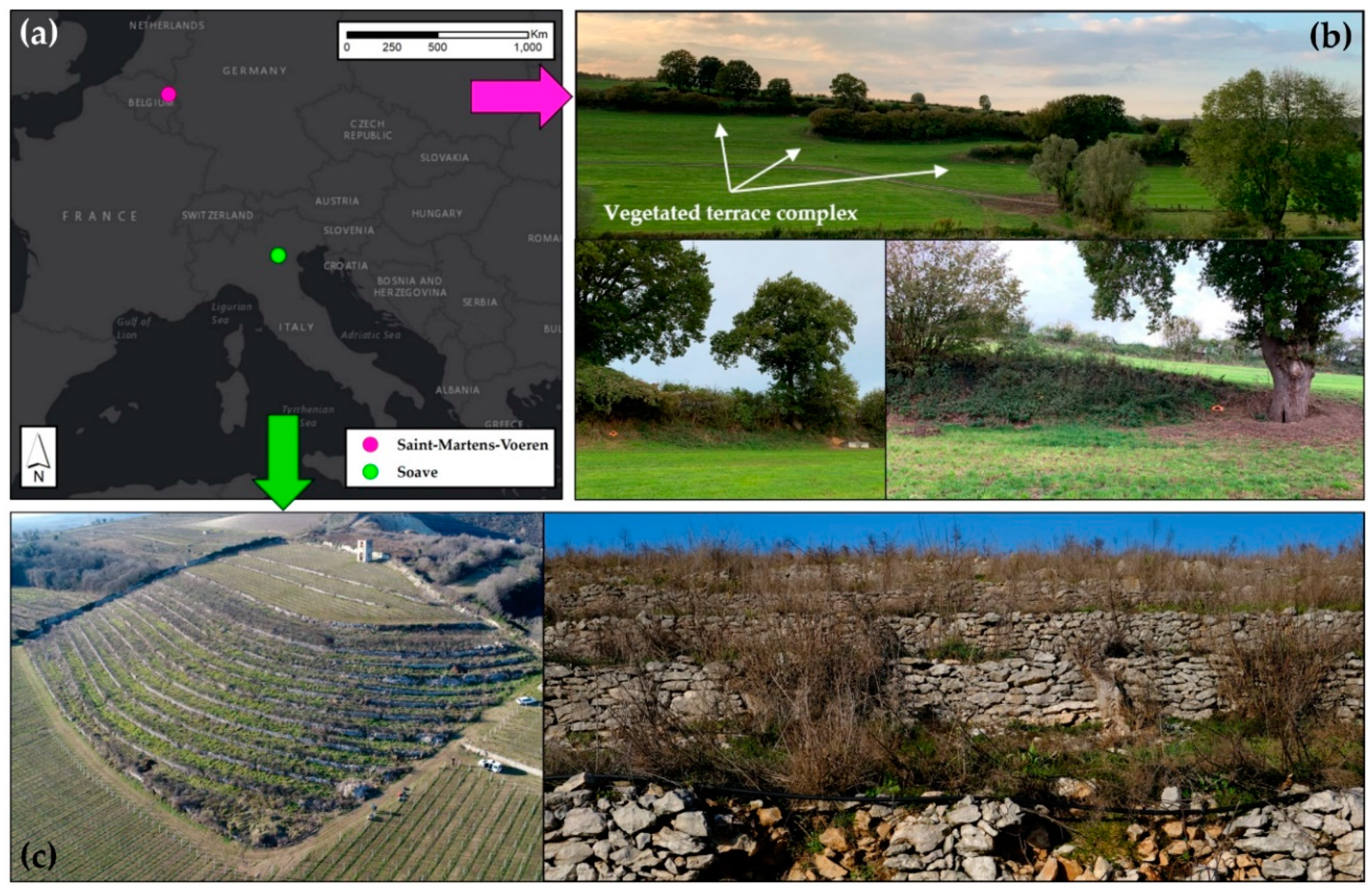 Remote Sensing Free Full Text Multiplatform Sfm And Tls Data Fusion For Monitoring Agricultural Terraces In Complex Topographic And Landcover Conditions Html