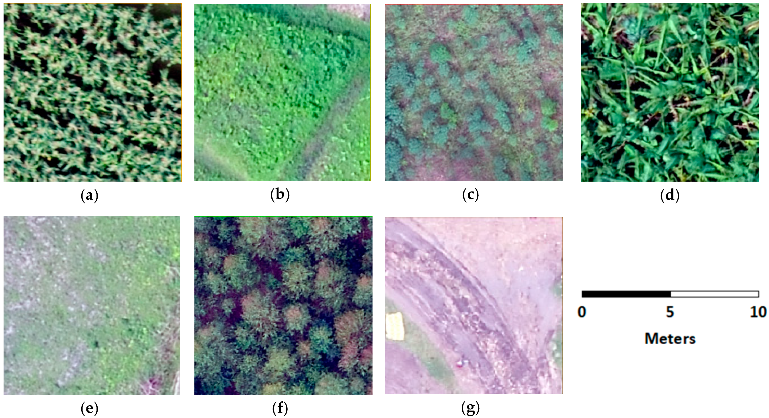 Remotesensing 12 01984 g002