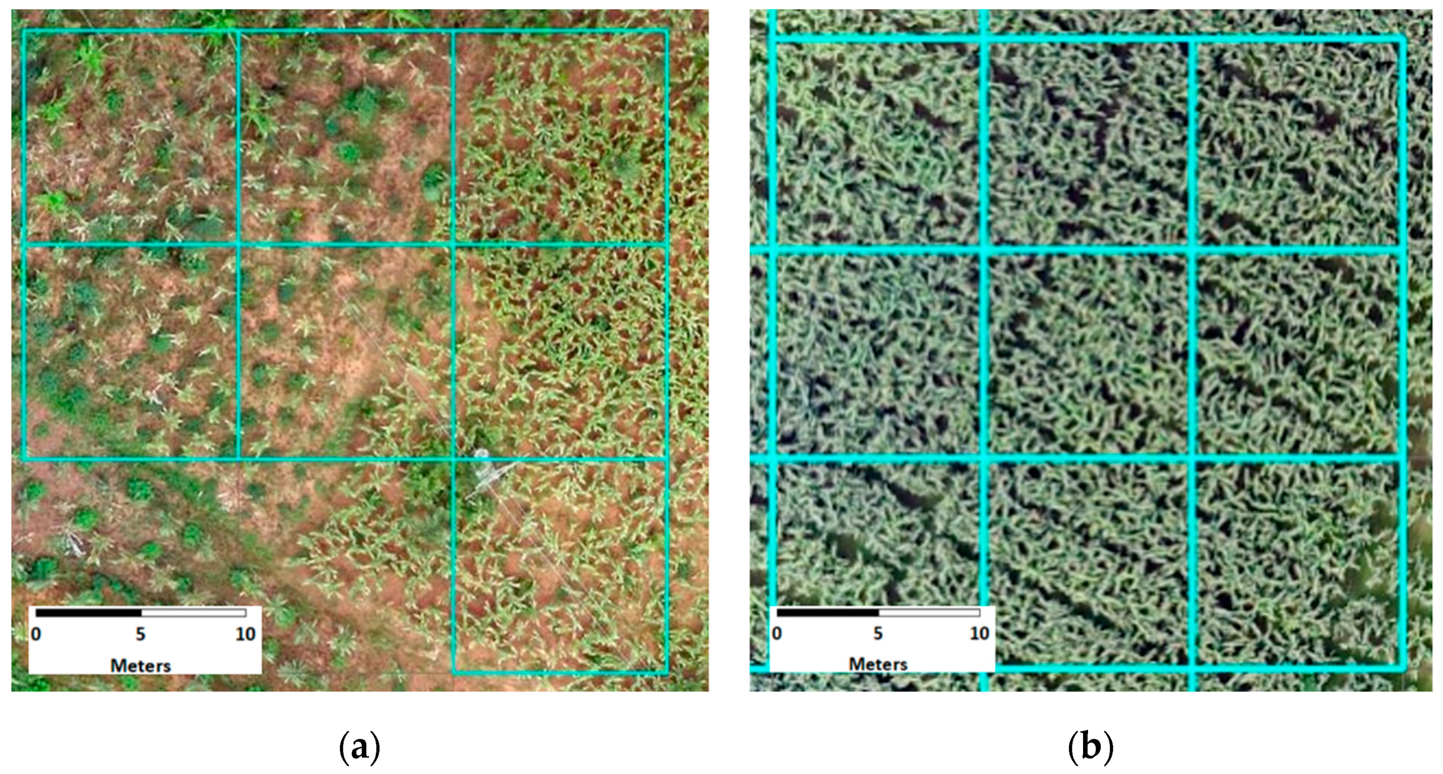 Remotesensing 12 01984 g004