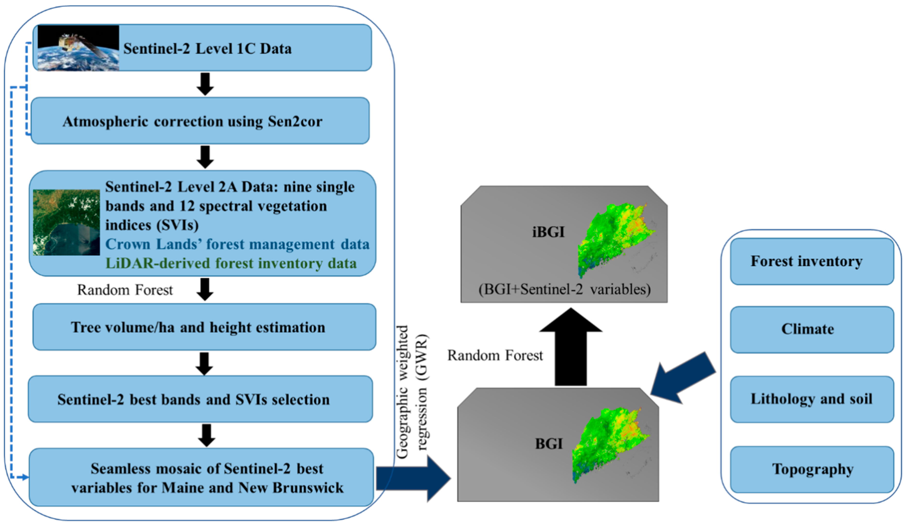 Variable sites