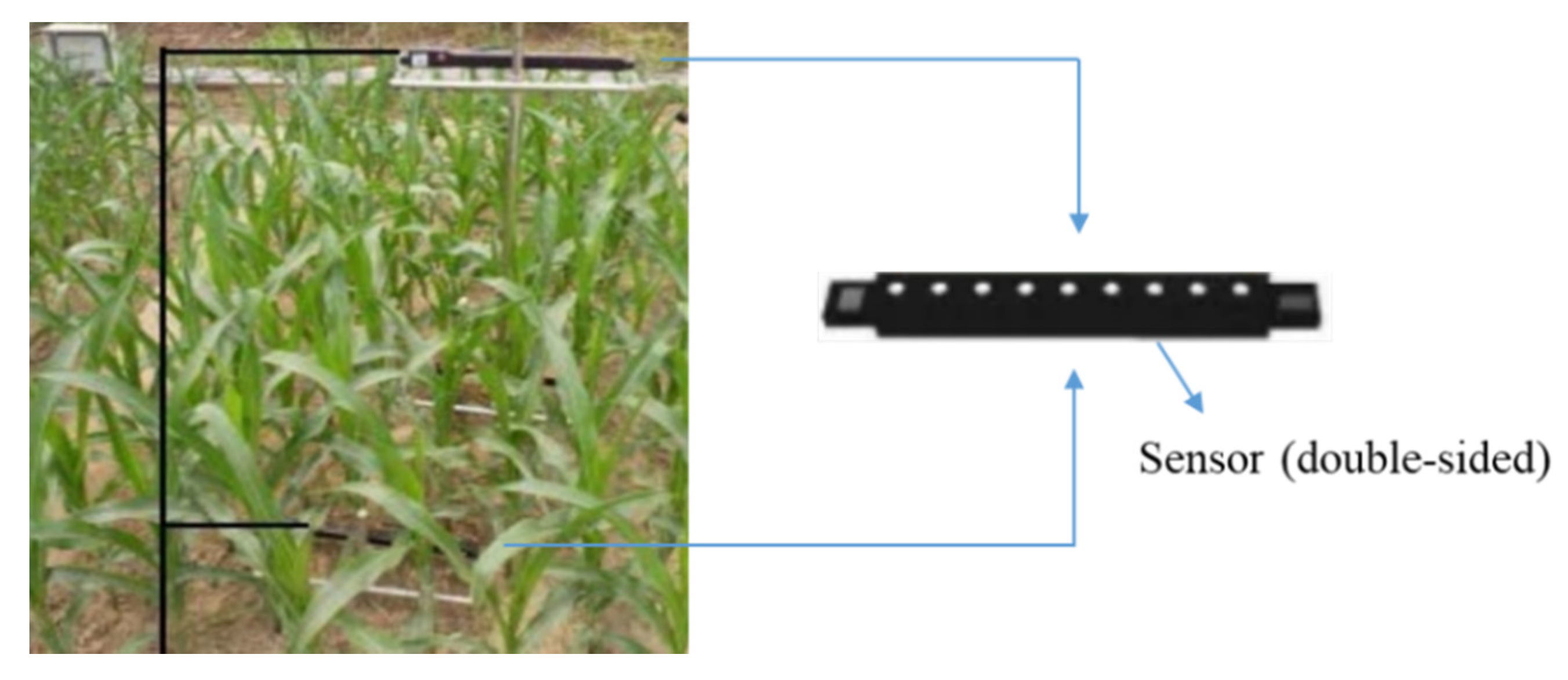 Remotesensing 12 02083 g001 Remotesensing 12 02083 g001