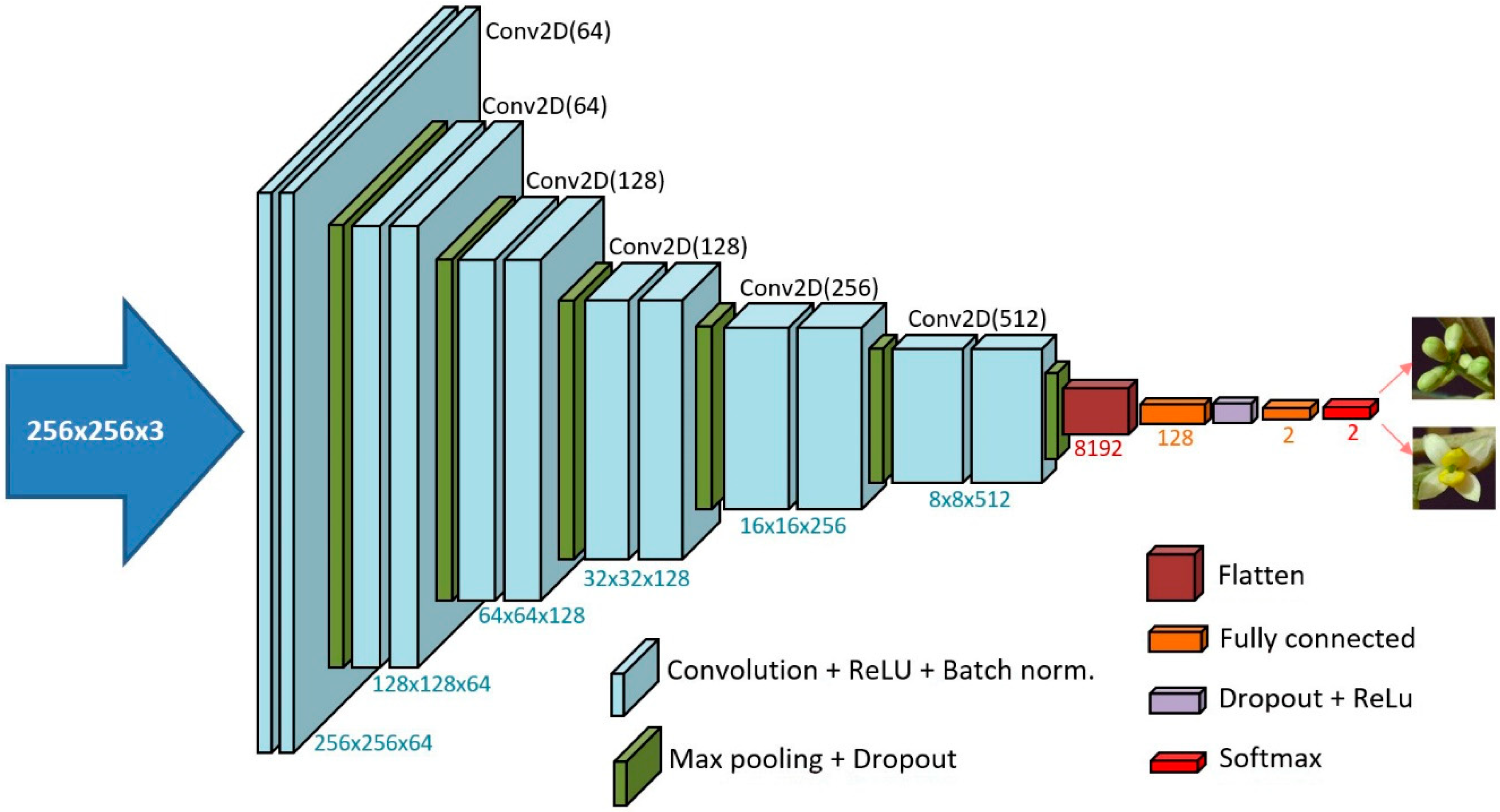 Convolutional networks. Convolutional Neural Network structure. Distribution Shift Neural. Stem Block structure diagram CNN. Structure of IMF SDR 2021-2026.