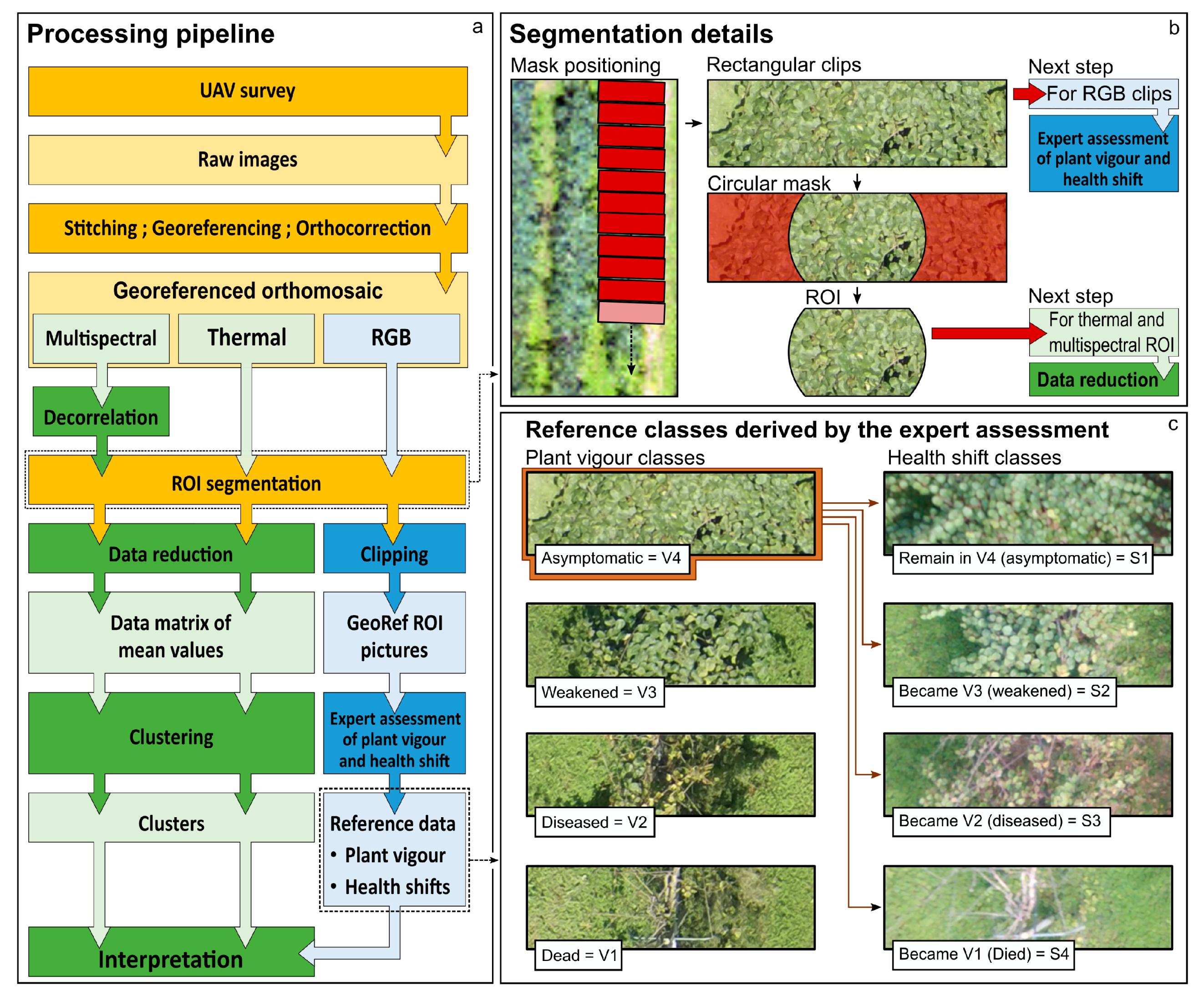 Remote Sensing Free Full Text Prediction Of The Kiwifruit Decline Syndrome In Diseased Orchards By Remote Sensing Html