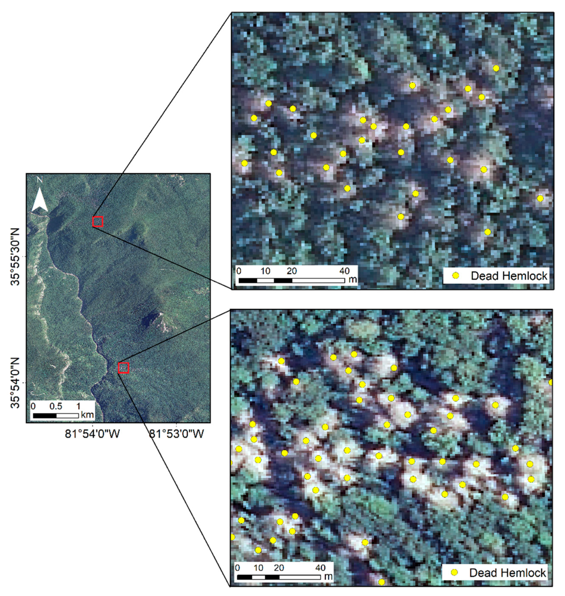 Remotesensing 12 02412 g003 Remotesensing 12 02412 g003