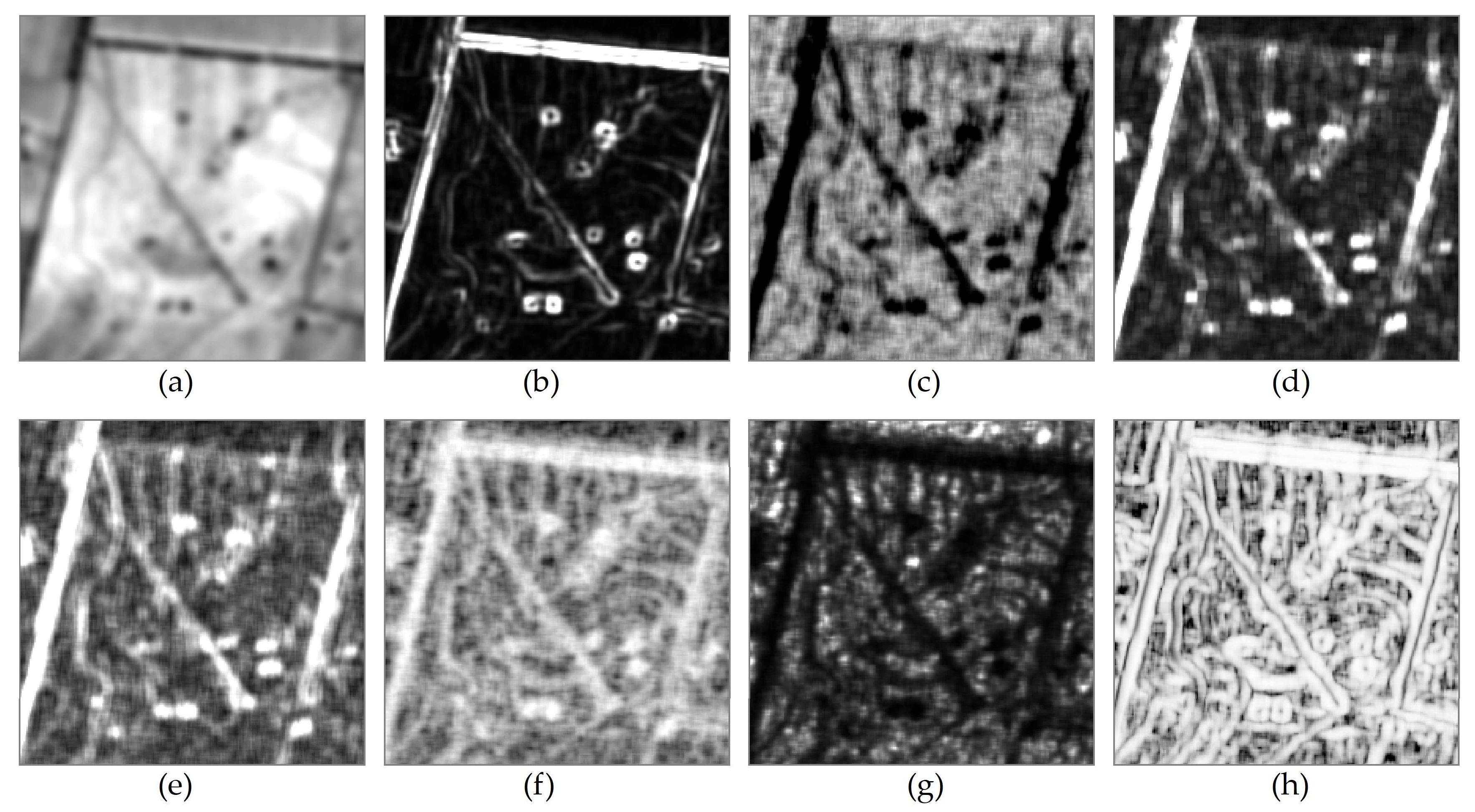 Remotesensing 12 02534 g004 Remotesensing 12 02534 g004