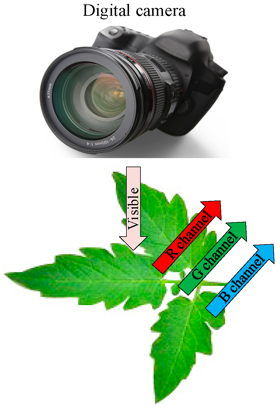 Remotesensing 12 02578 g004