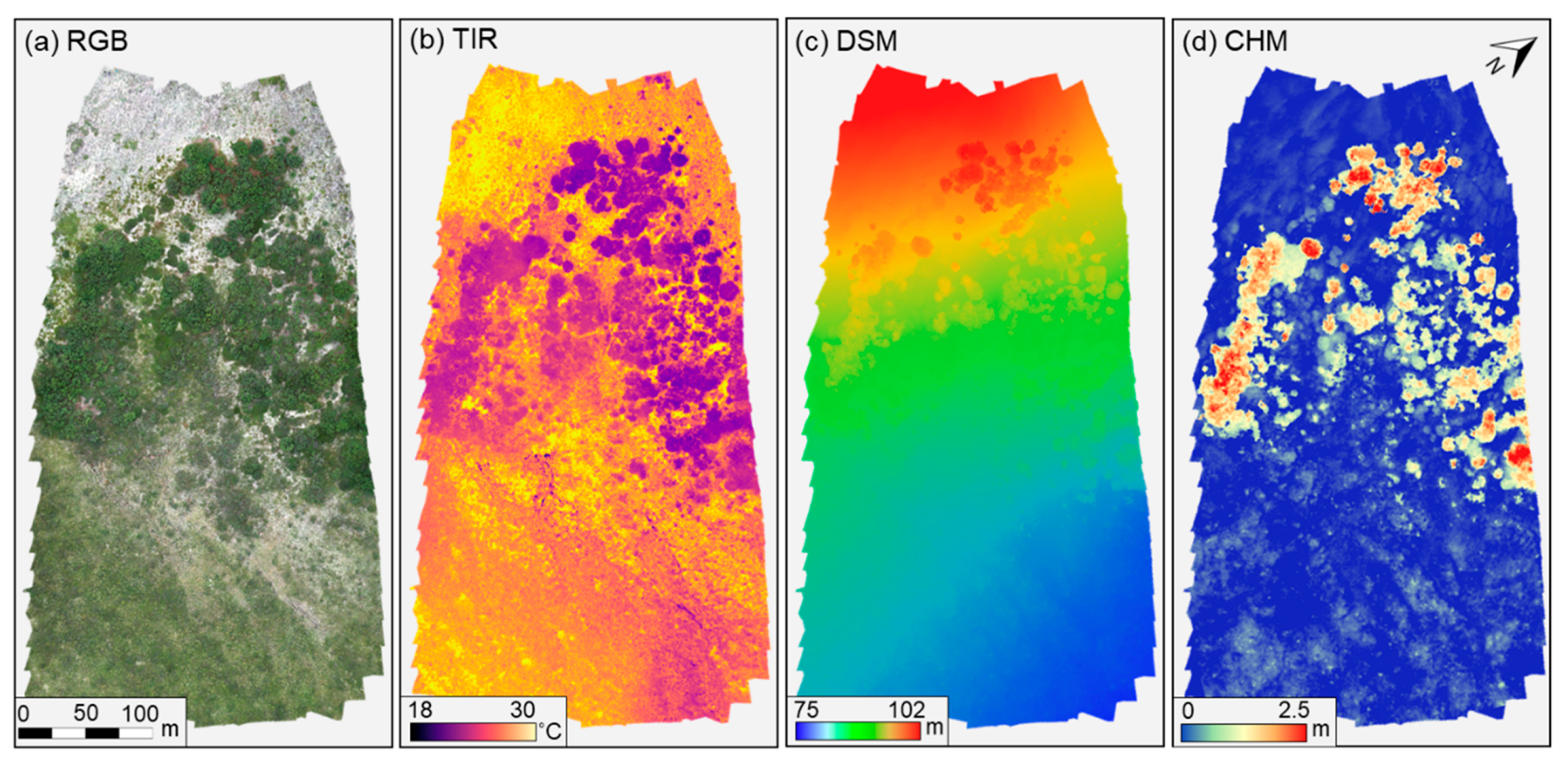 Remote Sensing | Free Full-Text | A Multi-Sensor Unoccupied Aerial System  Improves Characterization of Vegetation Composition and Canopy Properties  in the Arctic Tundra | HTML