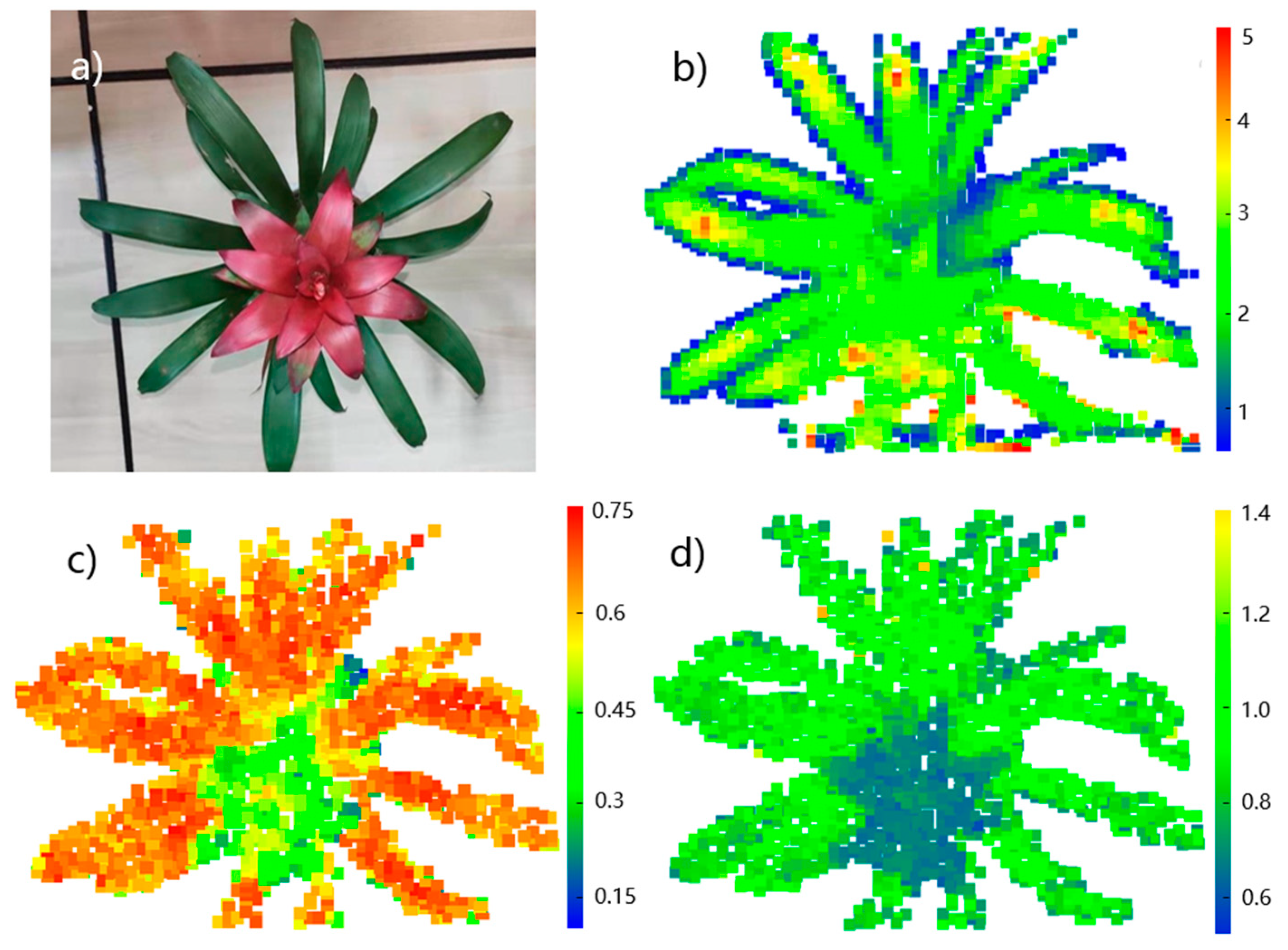 Remotesensing 12 02855 g014