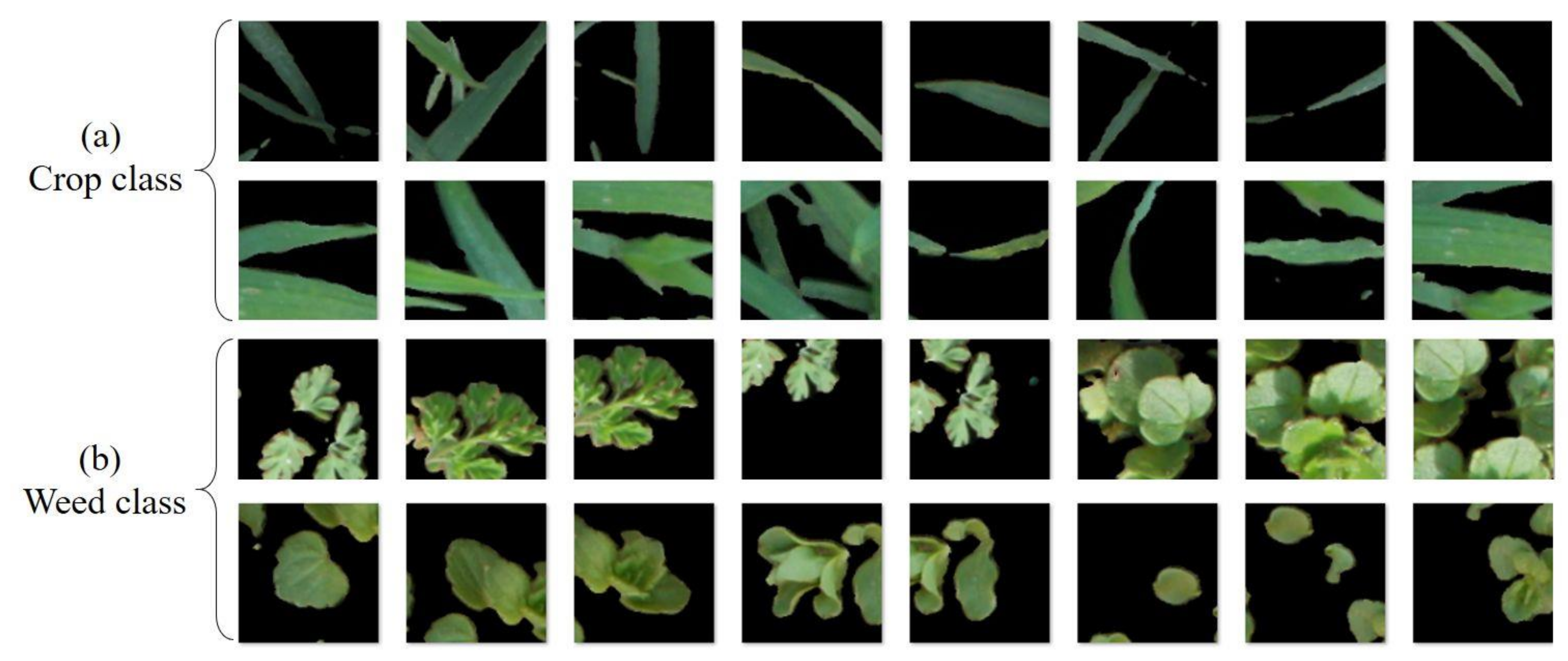 Remotesensing 12 02982 g003