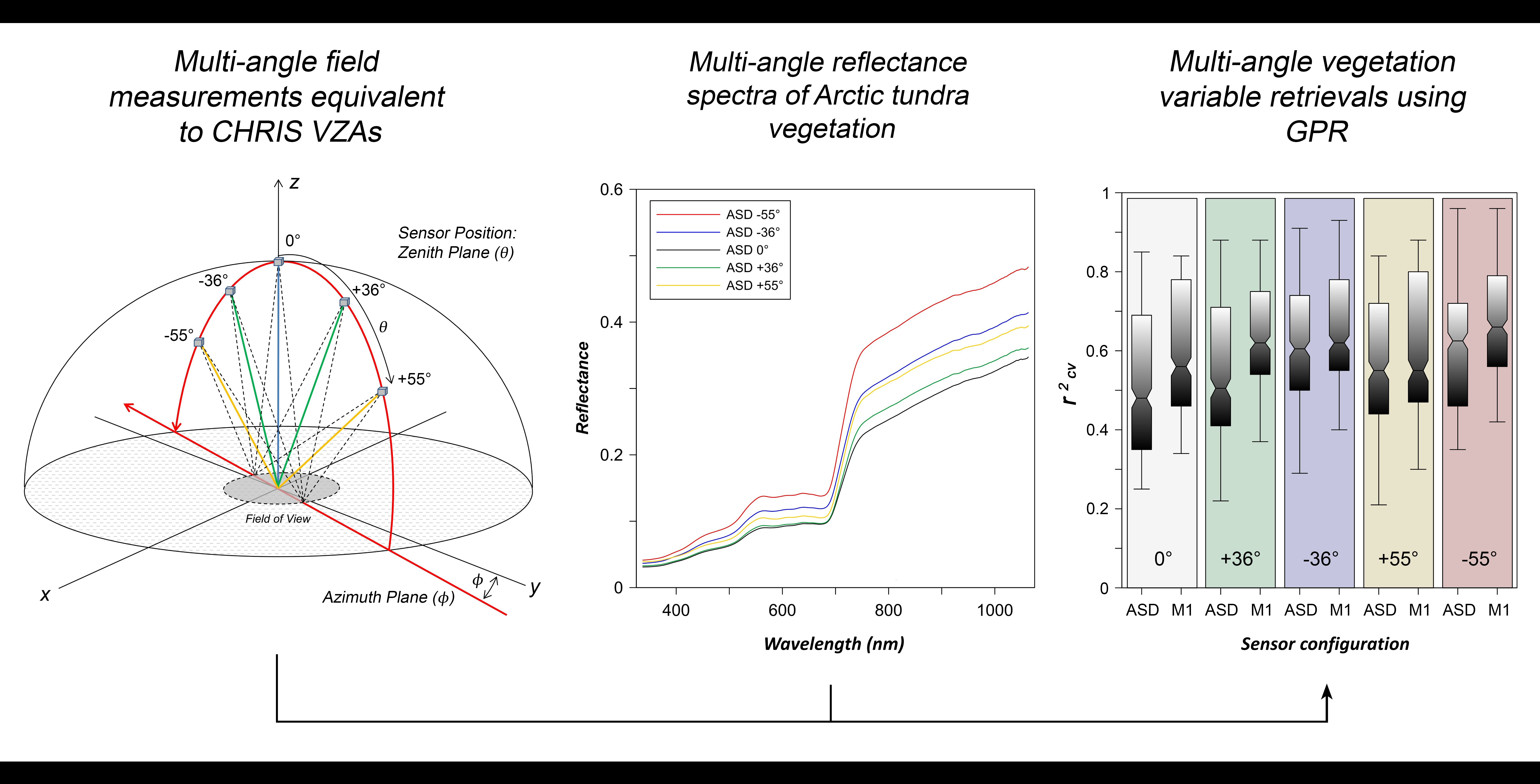 Remote Sensing Free Full Text Comparison Of Empirical And Physical Modelling For Estimation Of Biochemical And Biophysical Vegetation Properties Field Scale Analysis Across An Arctic Bioclimatic Gradient Html