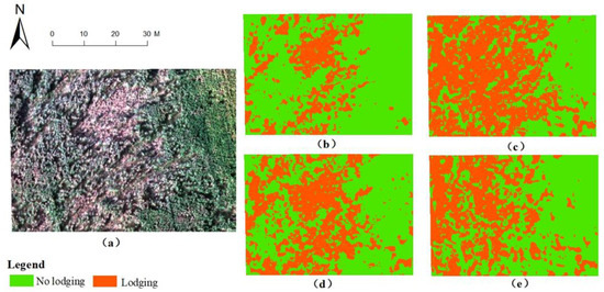 Remote Sensing | Free Full-Text | A Quantitative Monitoring Method 