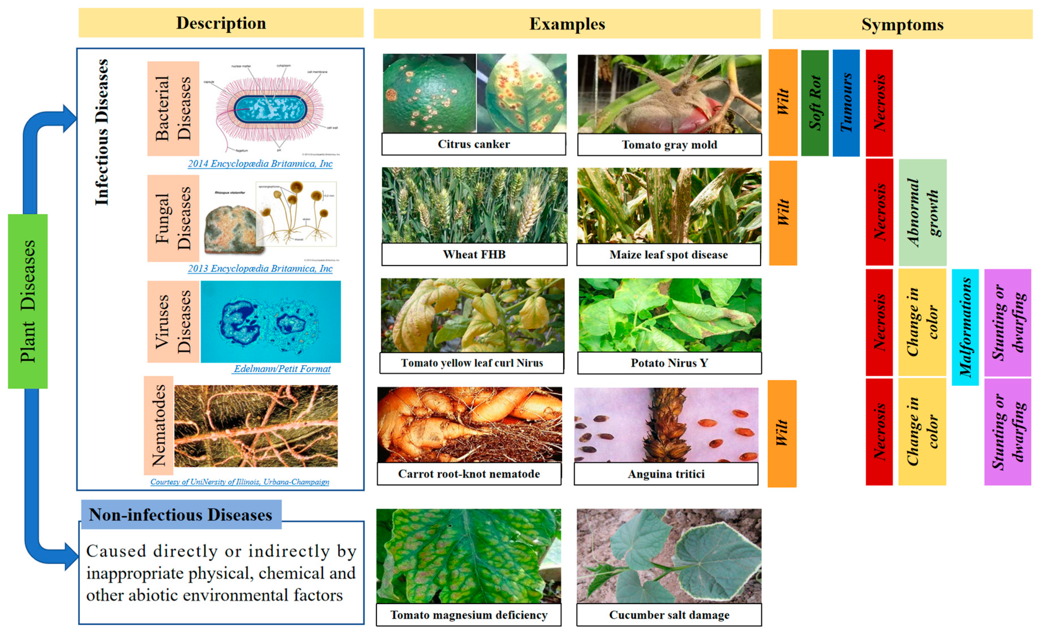 Remote Sensing | Free Full-Text | A Review Of Advanced Technologies And ...