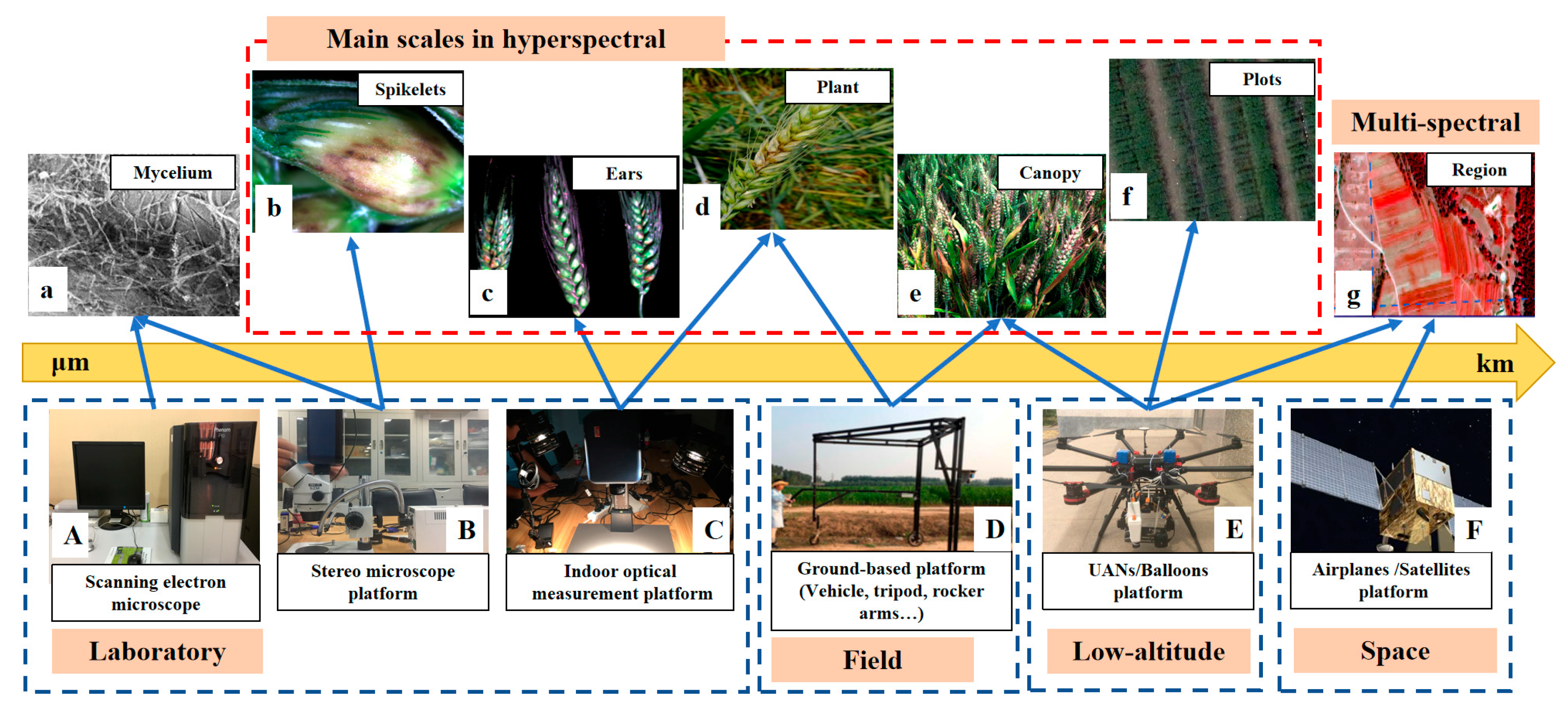 Remote Sensing | Free Full-Text | A Review Of Advanced Technologies And ...