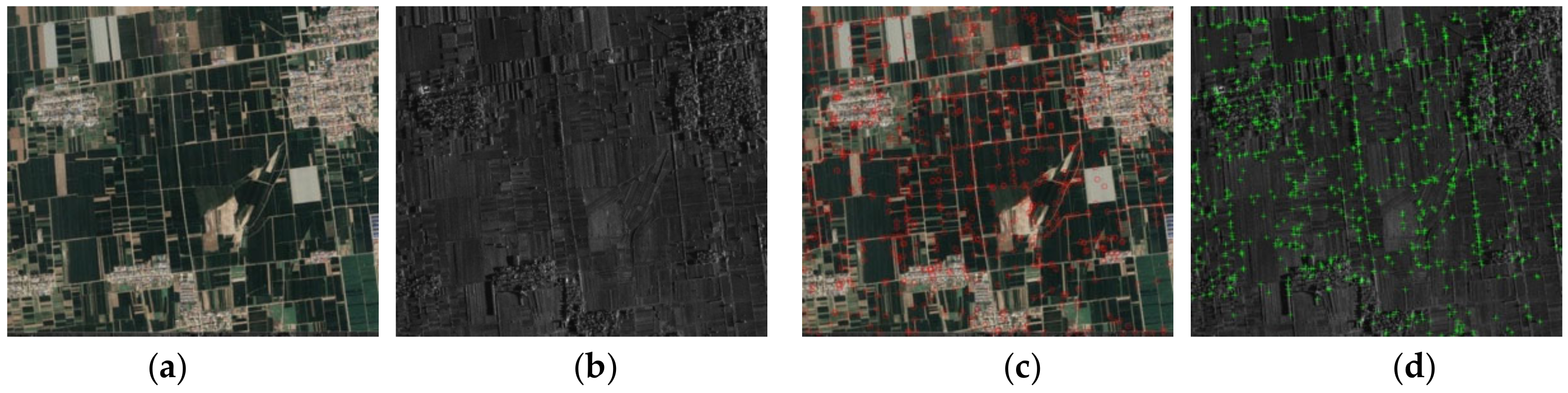 Remotesensing 12 03339 g012