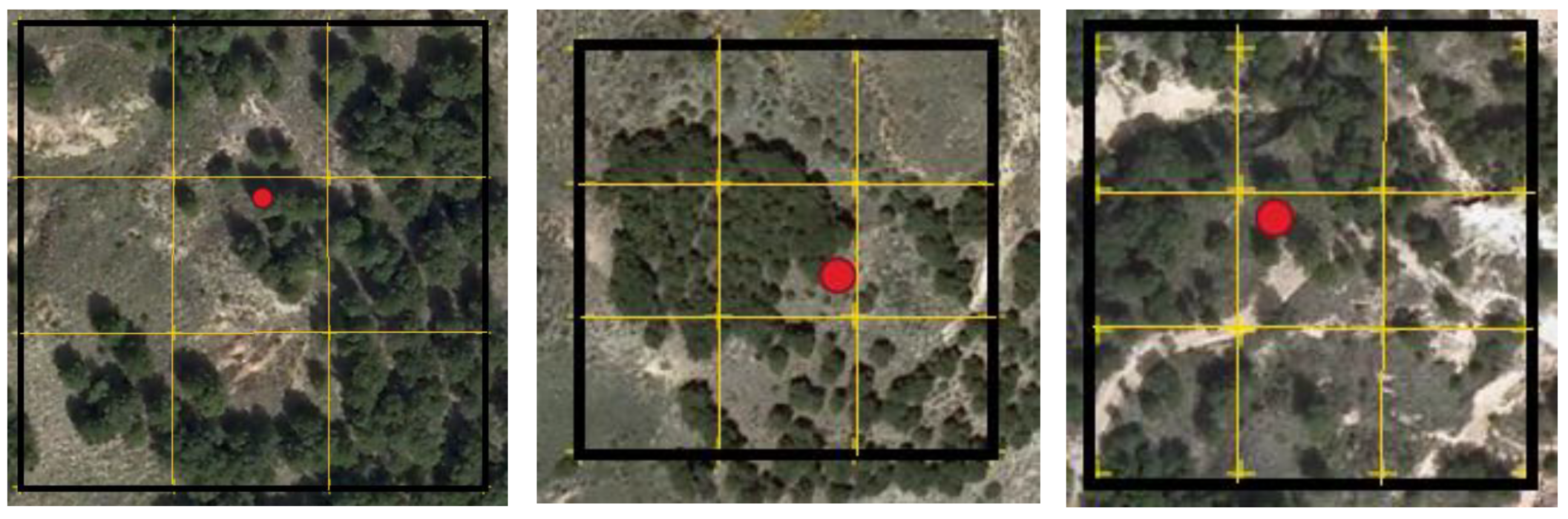 Remotesensing 12 03360 g008