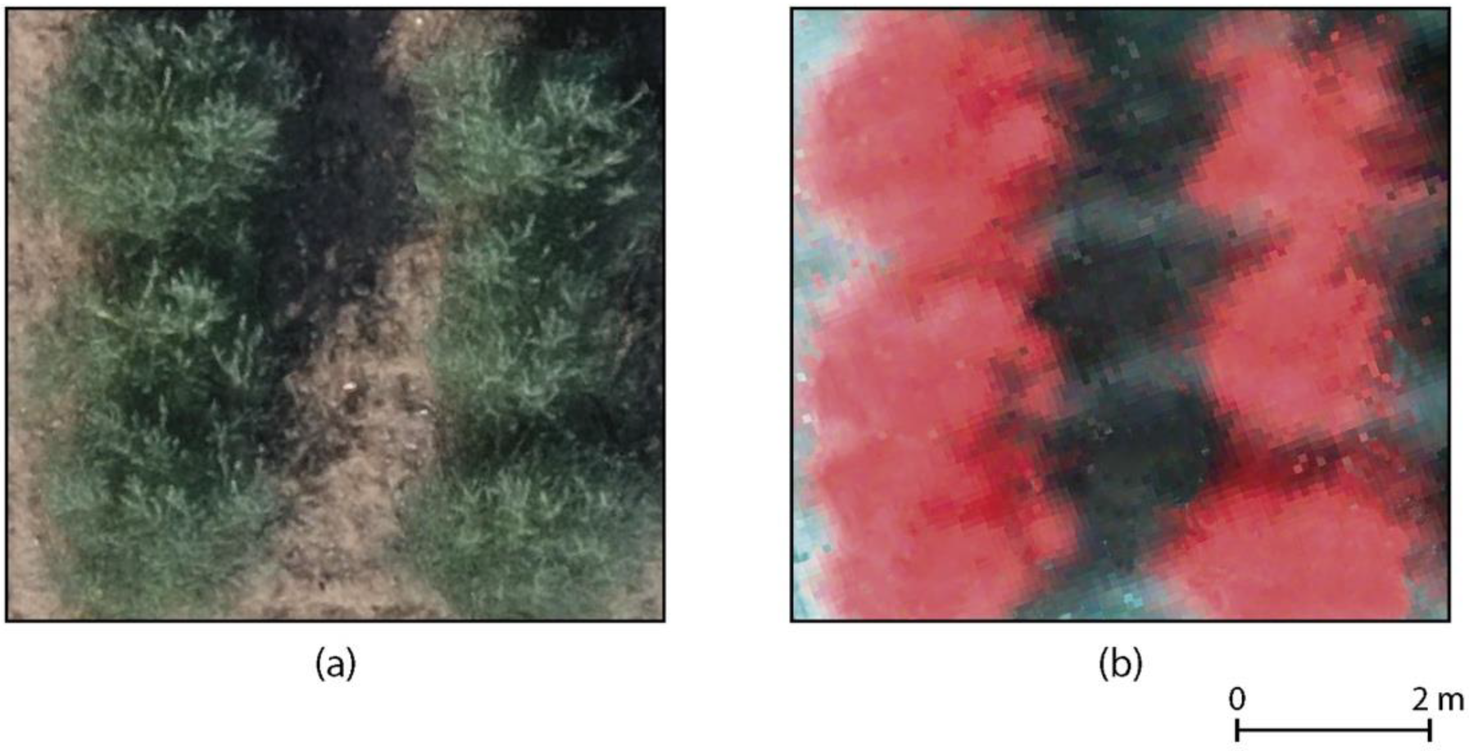 Remotesensing 12 03426 g003 Remotesensing 12 03426 g003