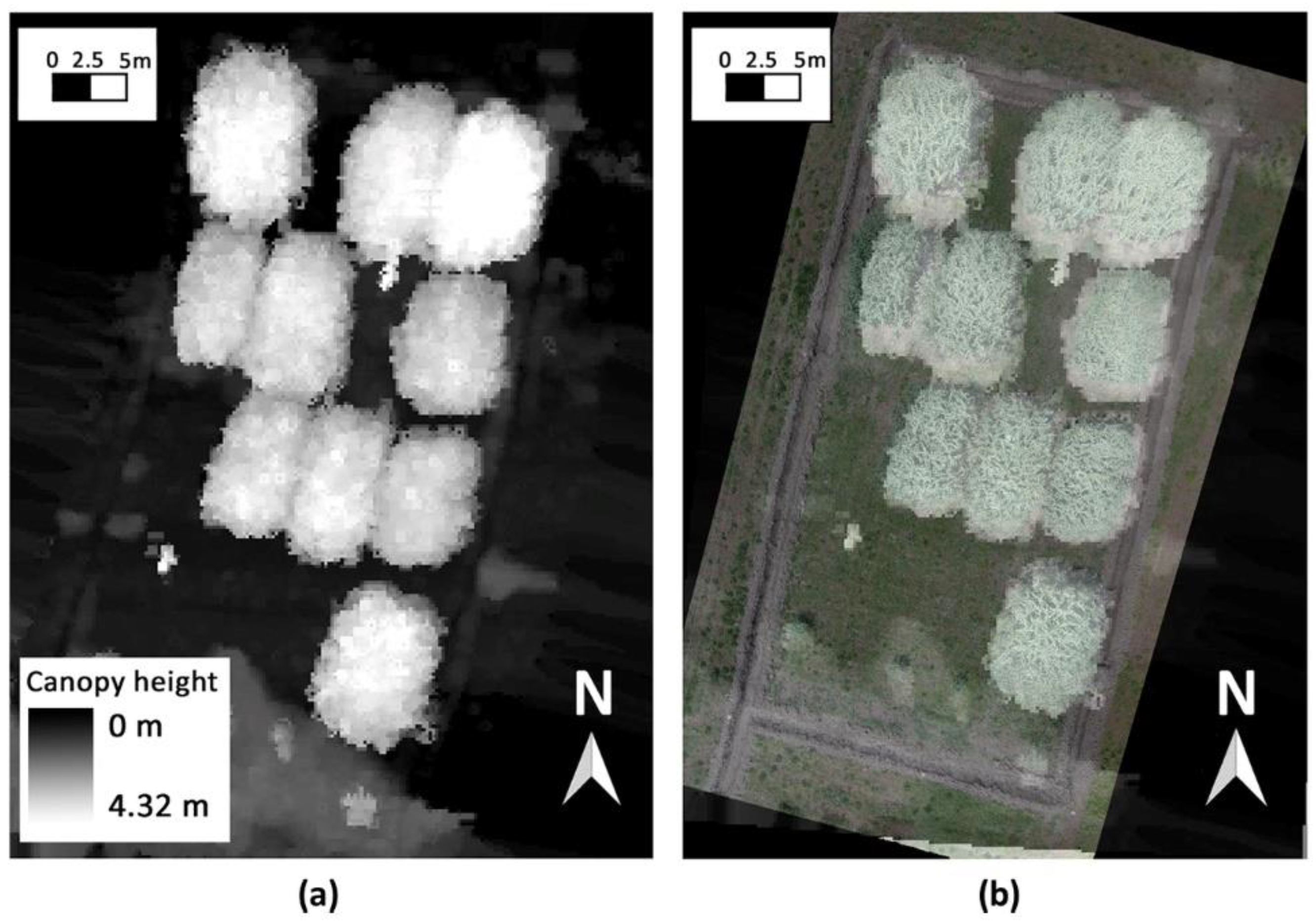 Remotesensing 12 03464 g006