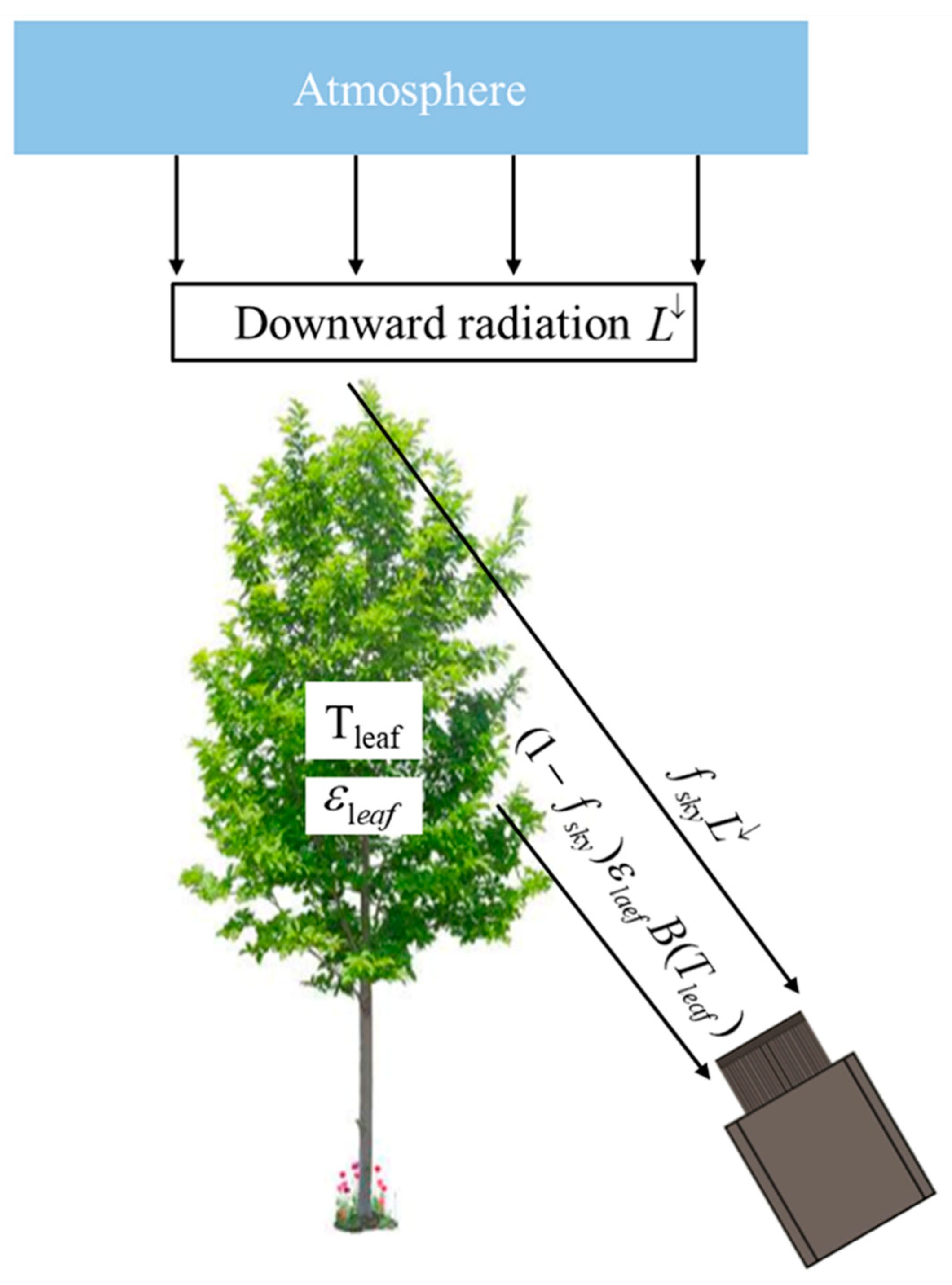 Remotesensing 12 03559 g003