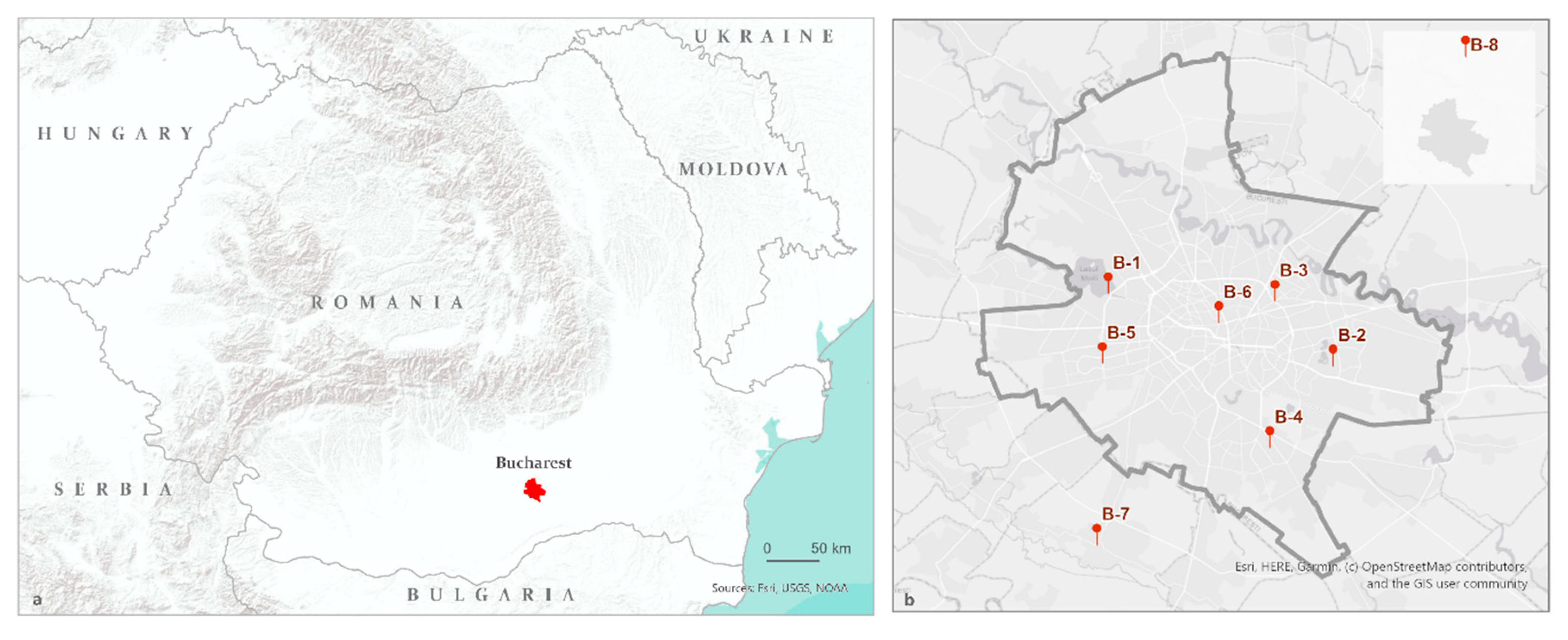 Remotesensing 12 03575 g004