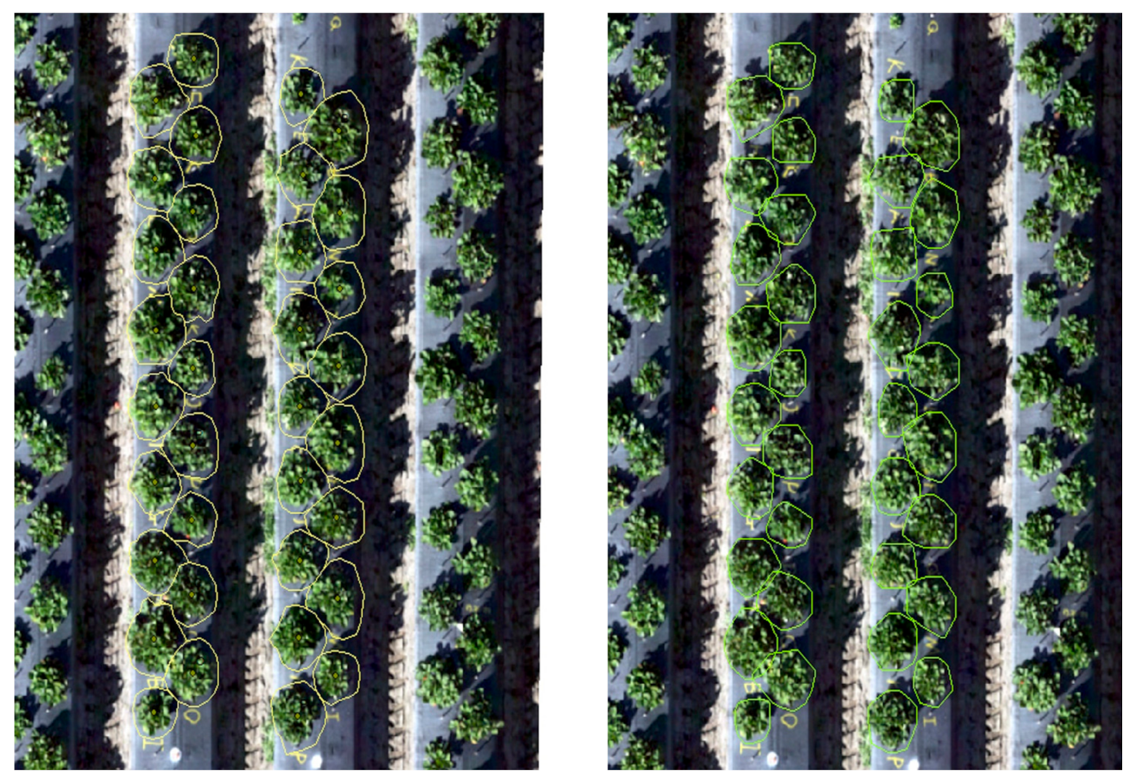 Remotesensing 12 03632 g005