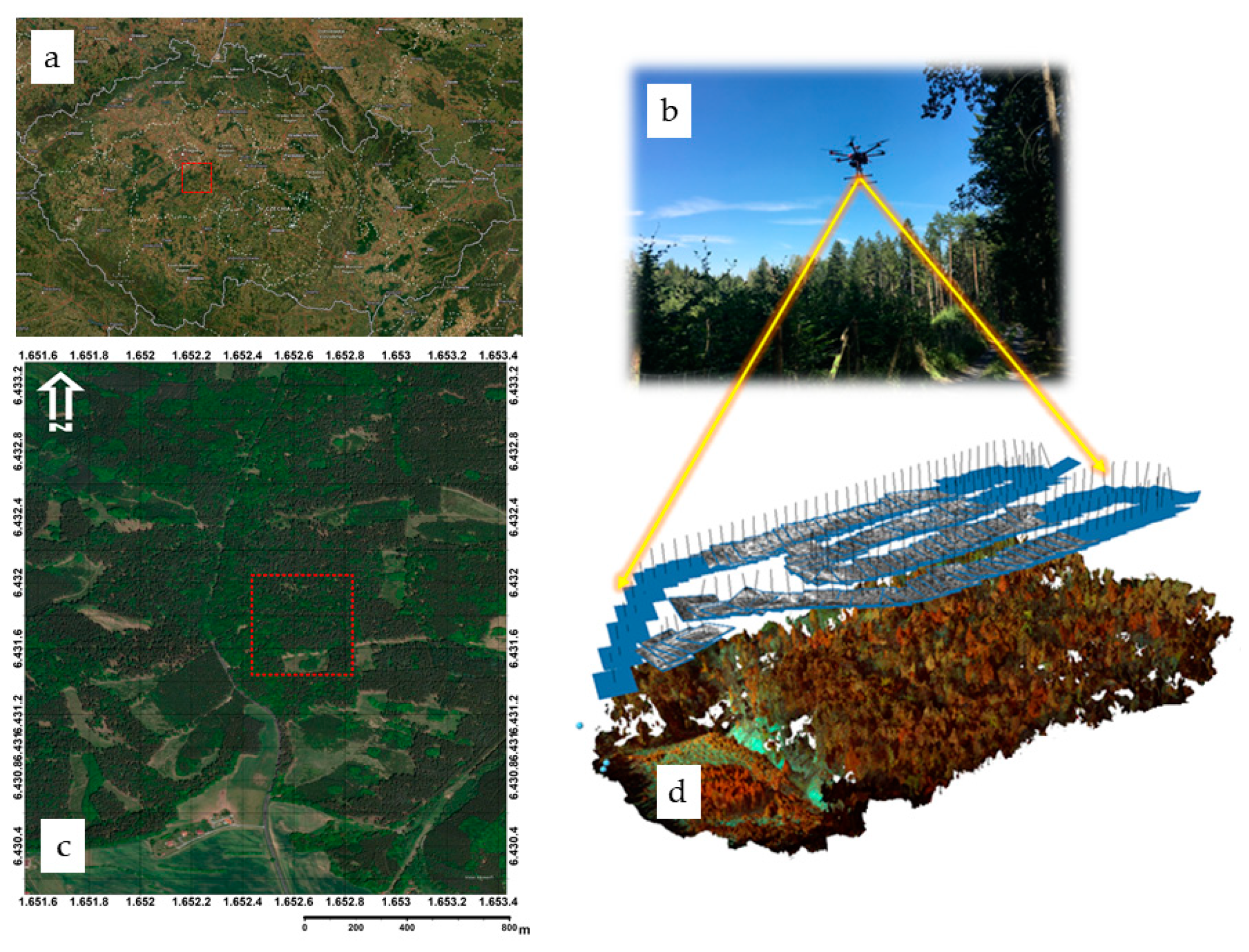 Remote Sensing | Free Full-Text | Tree Species Classification and Health  Status Assessment for a Mixed Broadleaf-Conifer Forest with UAS  Multispectral Imaging | HTML