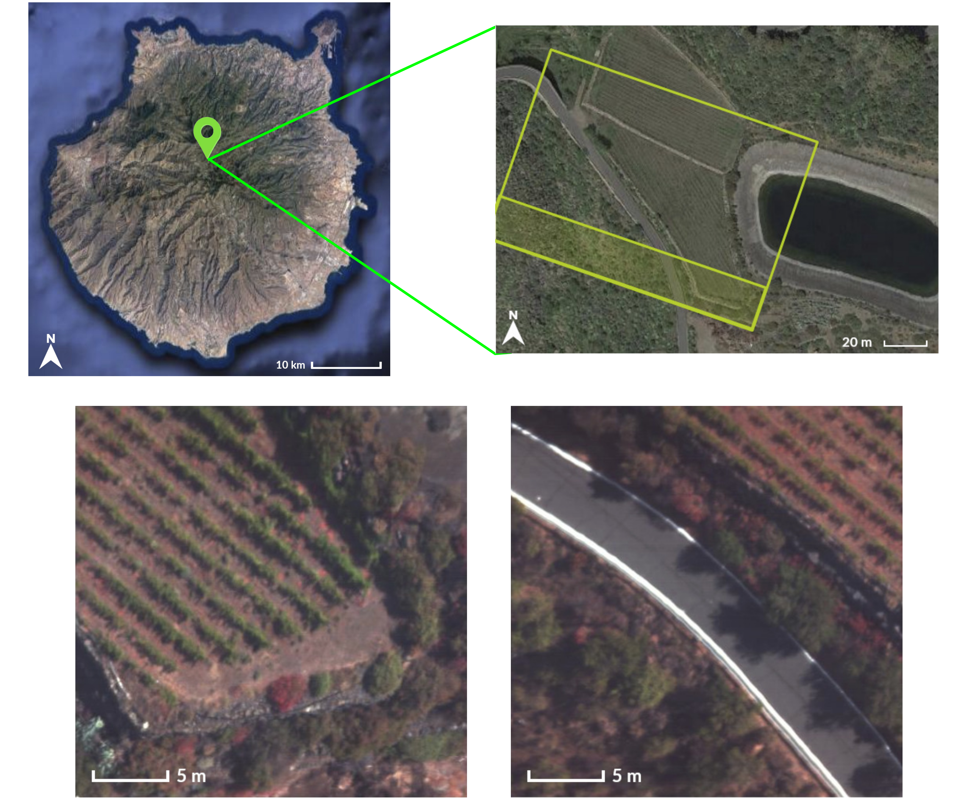 Remotesensing 12 03741 g010