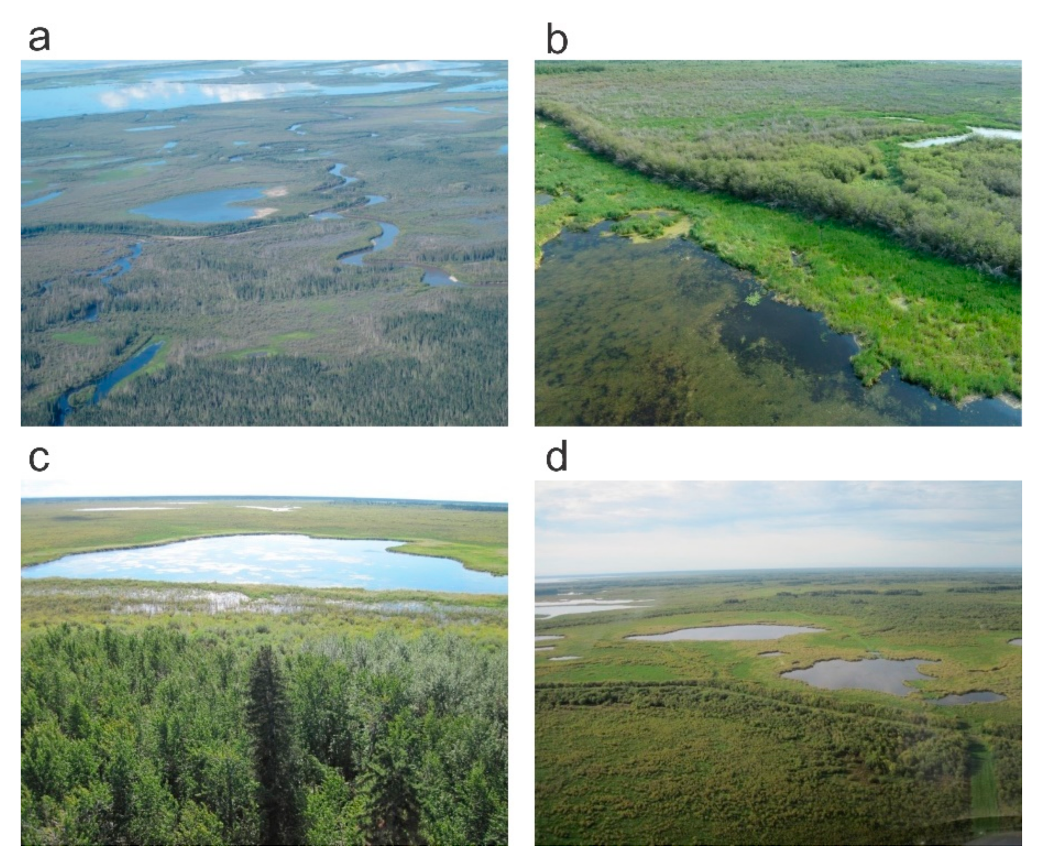 Remotesensing 12 03819 g003 Remotesensing 12 03819 g003