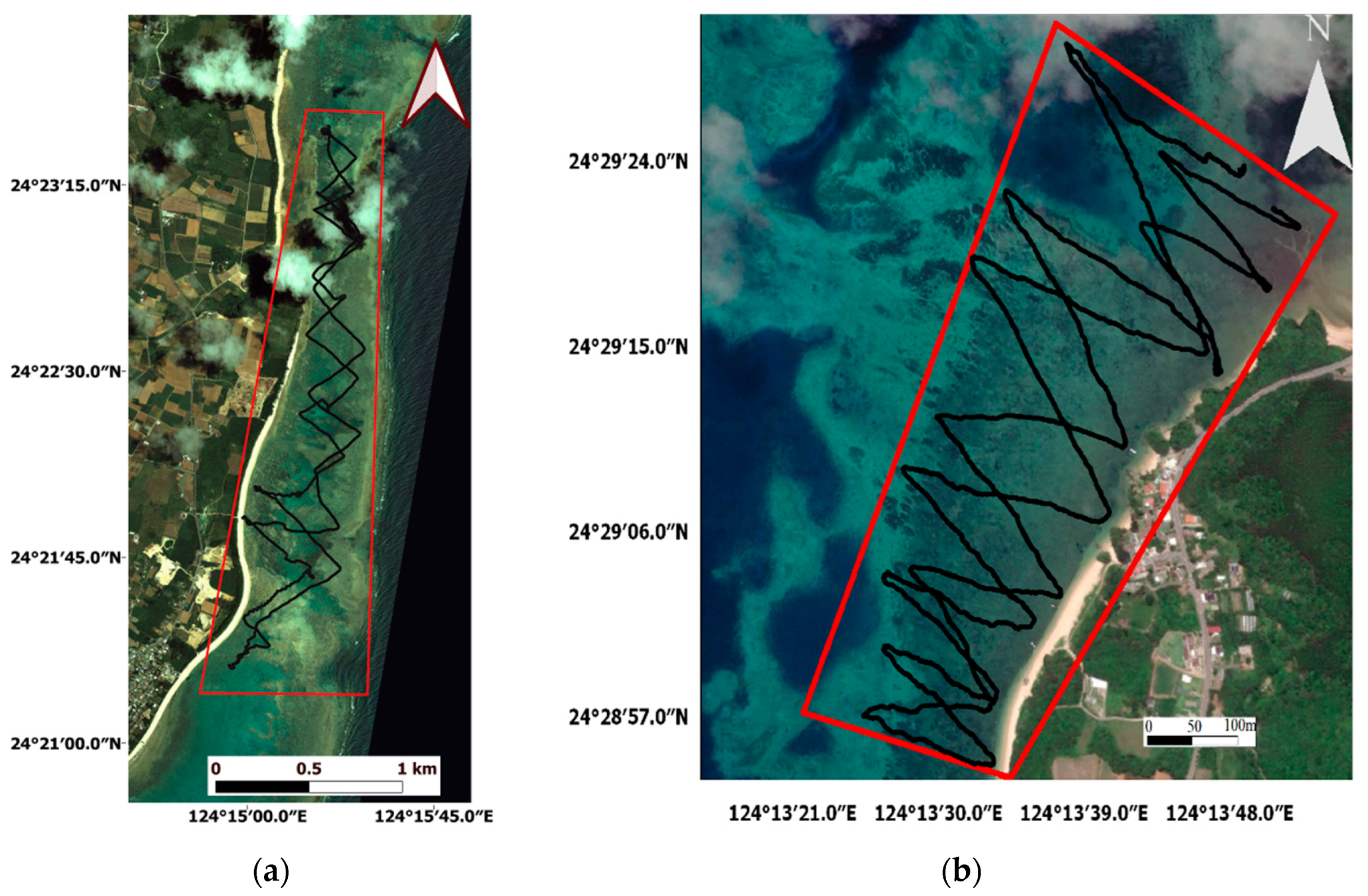 Remote Sensing Free Full Text Semiautomated Mapping Of Benthic Habitats And Seagrass Species Using A Convolutional Neural Network Framework In Shallow Water Environments Html