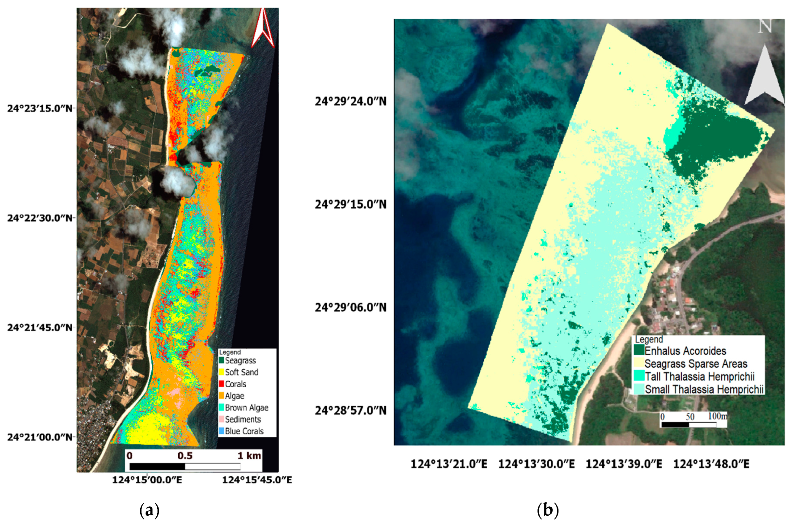 Remote Sensing Free Full Text Semiautomated Mapping Of Benthic Habitats And Seagrass Species Using A Convolutional Neural Network Framework In Shallow Water Environments Html