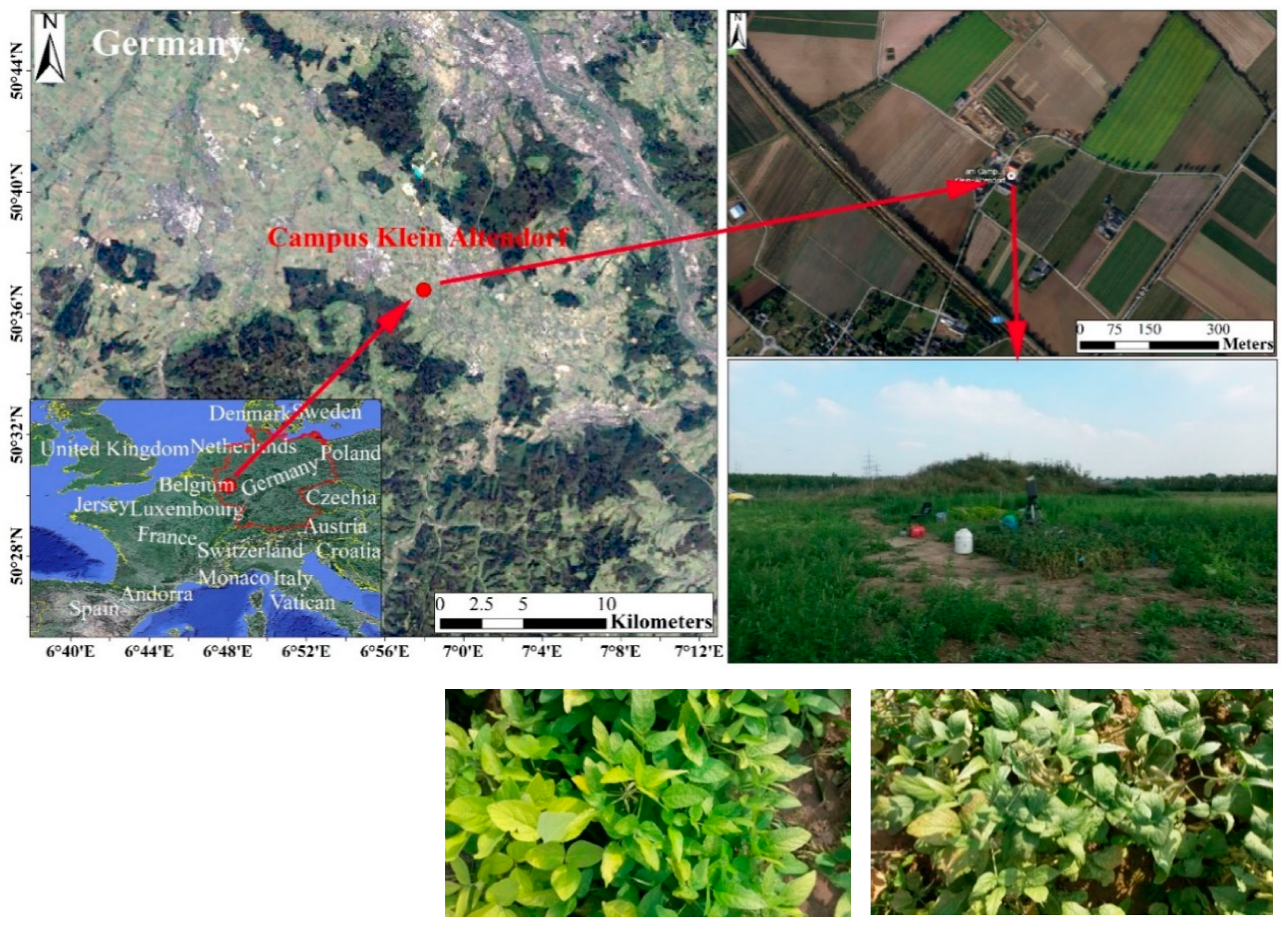 Remotesensing 12 04053 g001 Remotesensing 12 04053 g001