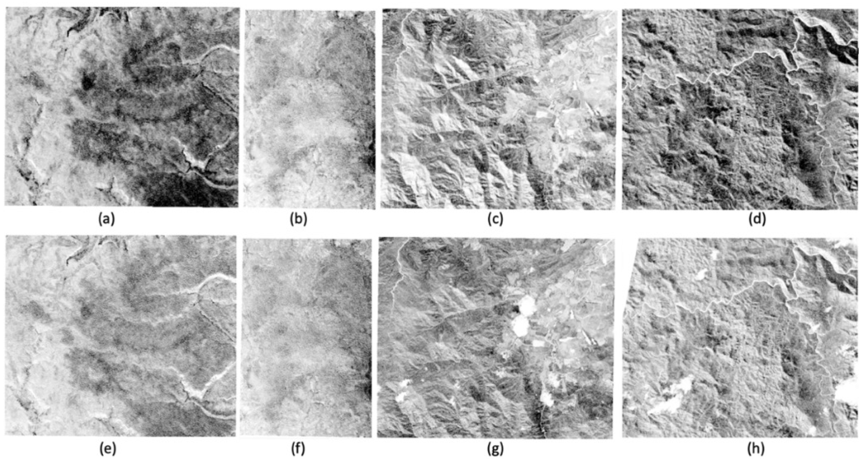 Remotesensing 12 04079 g005