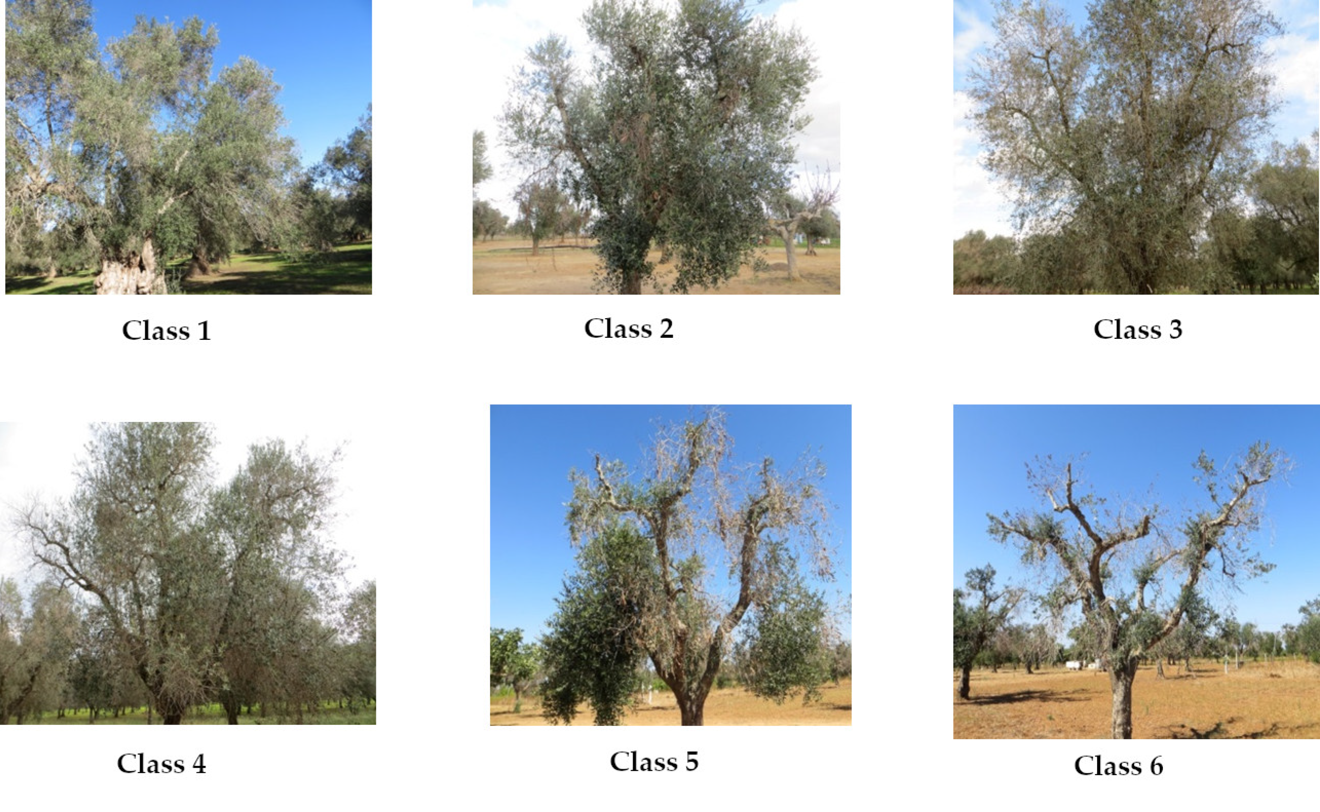 Remotesensing 13 00014 g002 Remotesensing 13 00014 g002