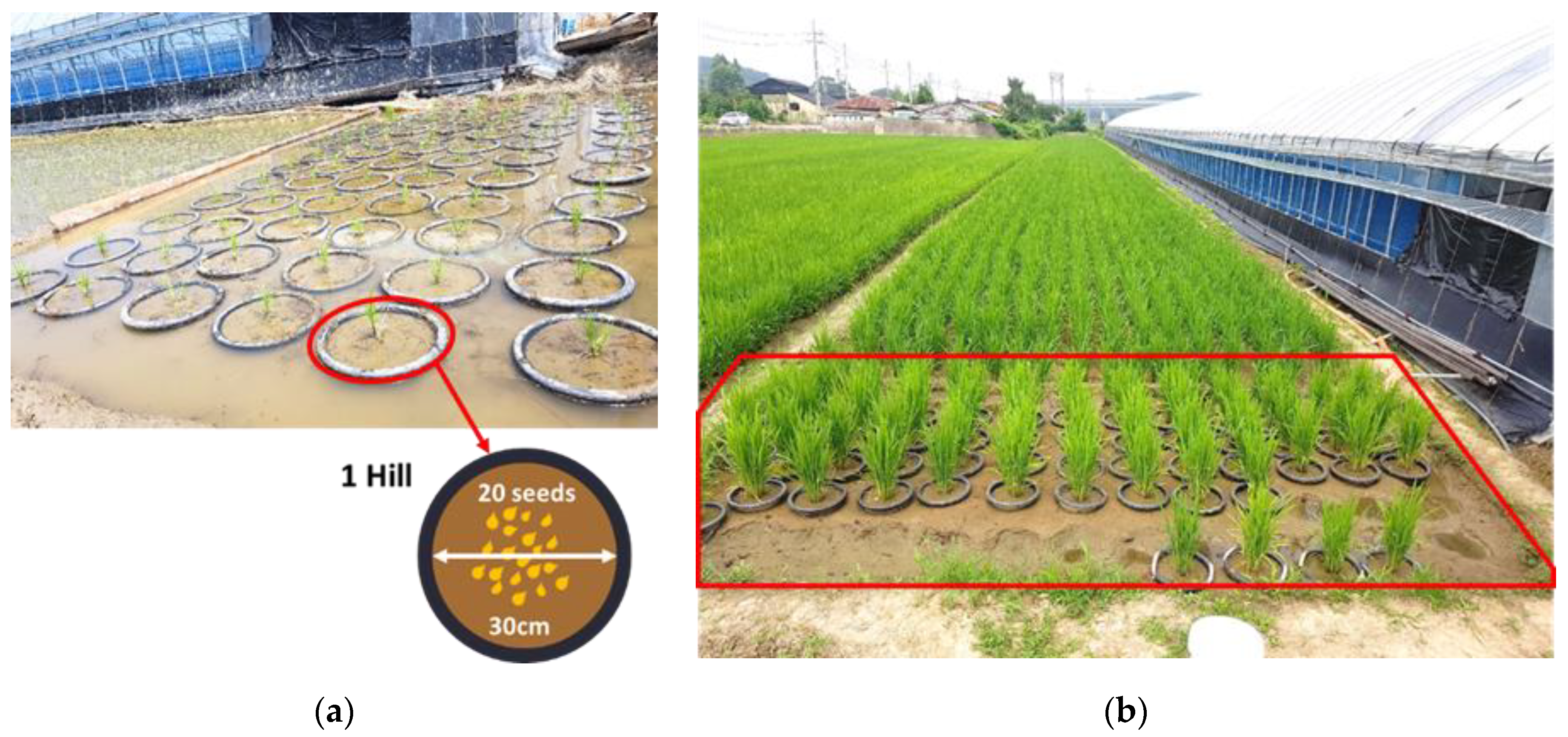 Remotesensing 13 00025 g001