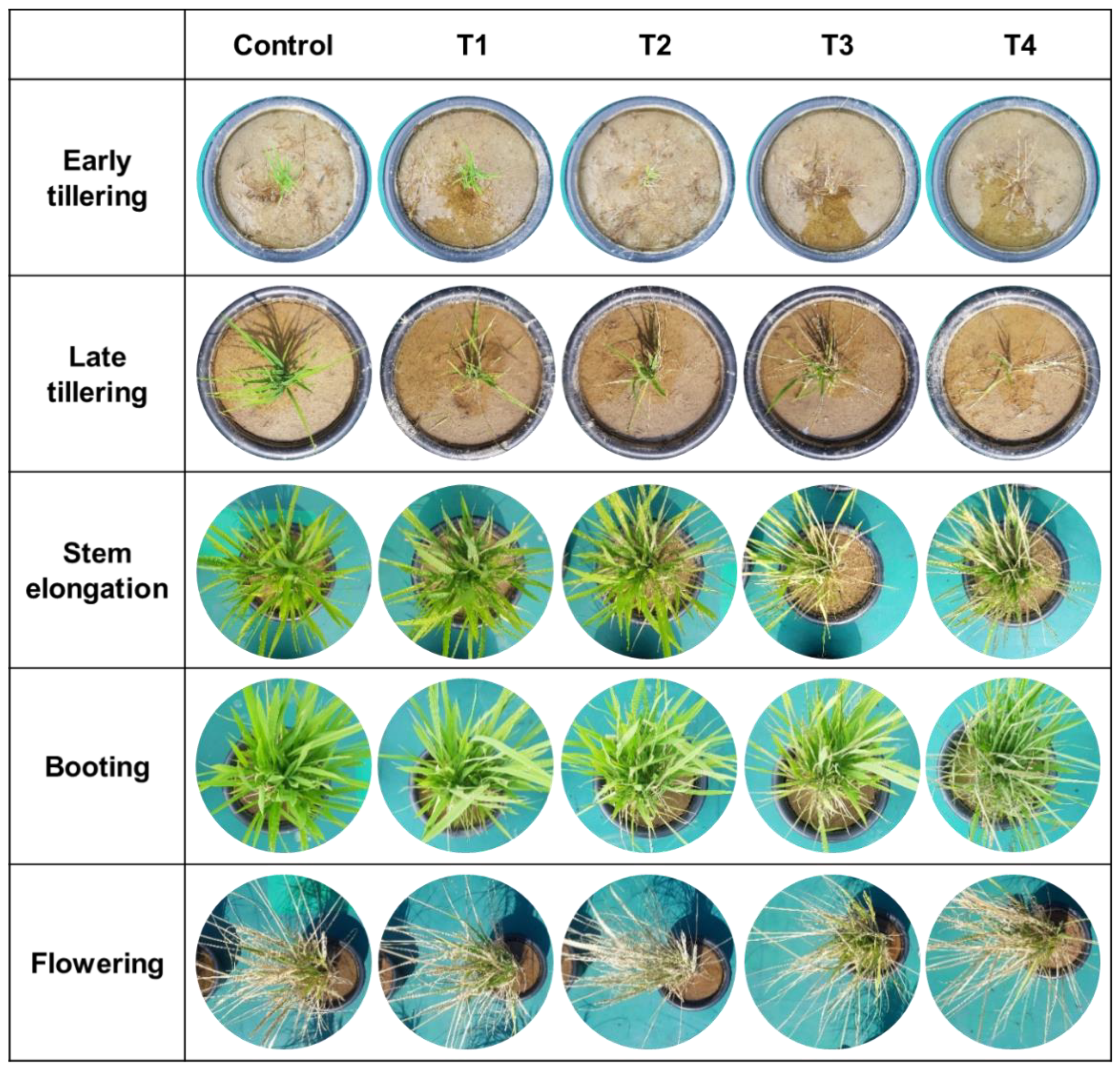 Remotesensing 13 00025 g006