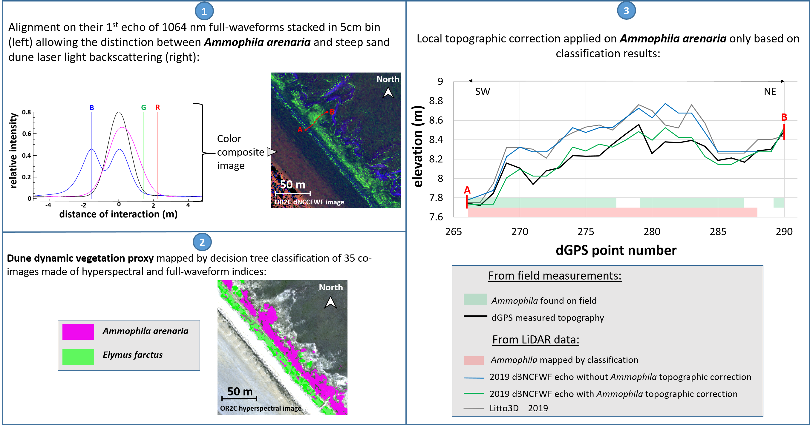 Remote Sensing | Free Full-Text | Coastal Sand Dunes Monitoring by Low  Vegetation Cover Classification and Digital Elevation Model Improvement  Using Synchronized Hyperspectral and Full-Waveform LiDAR Remote Sensing |  HTML