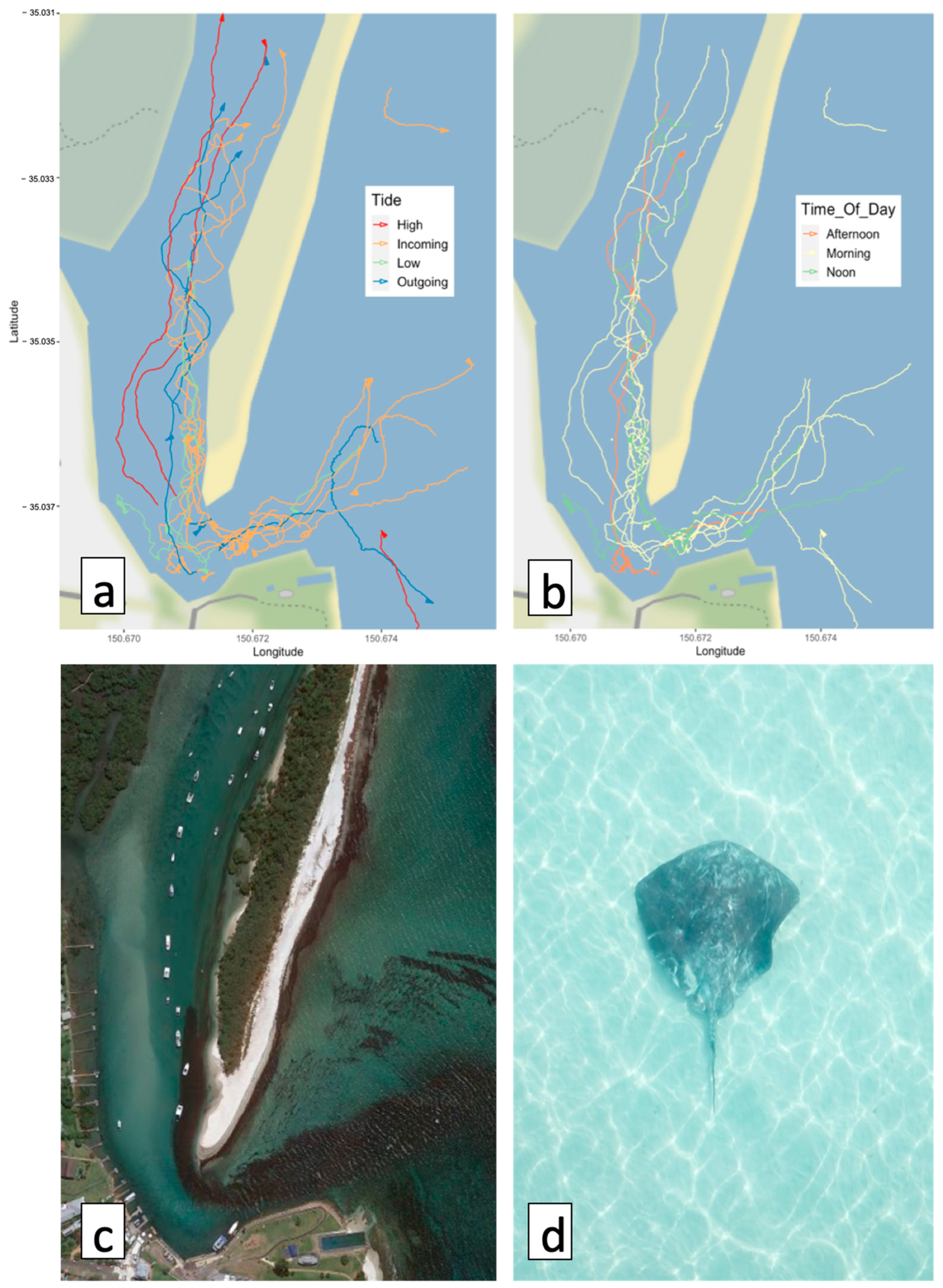 Remotesensing 13 00040 g005