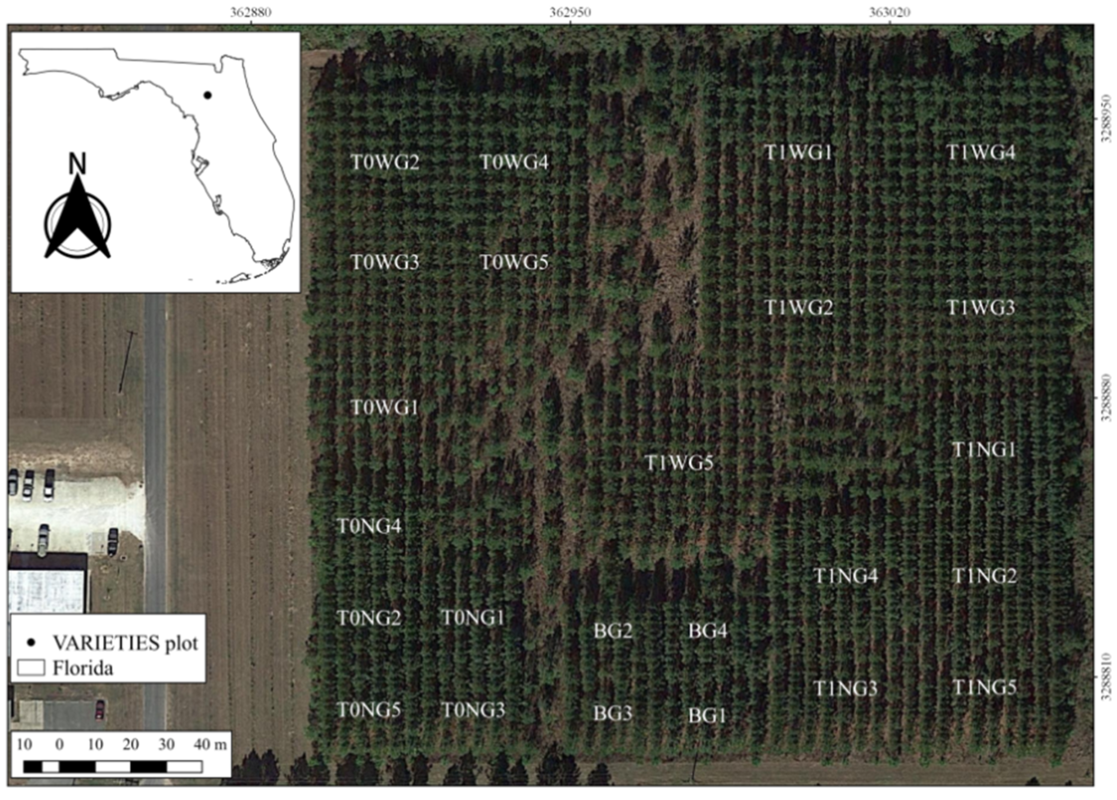 Remotesensing 13 00072 g001 Remotesensing 13 00072 g001
