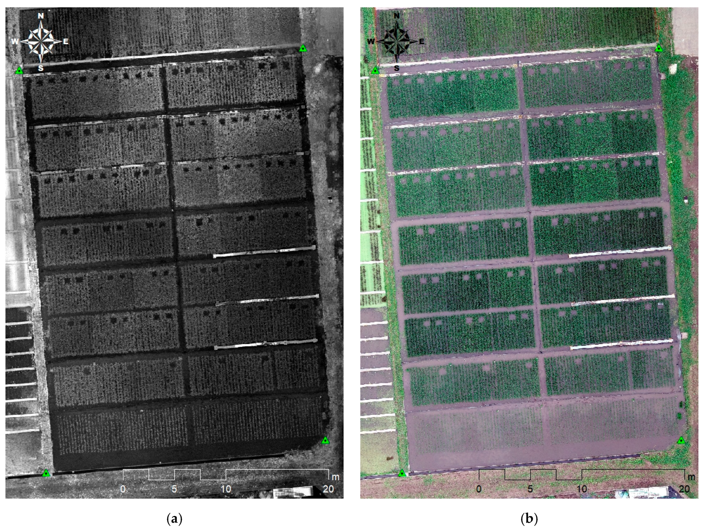 Remotesensing 13 00084 g002 Remotesensing 13 00084 g002