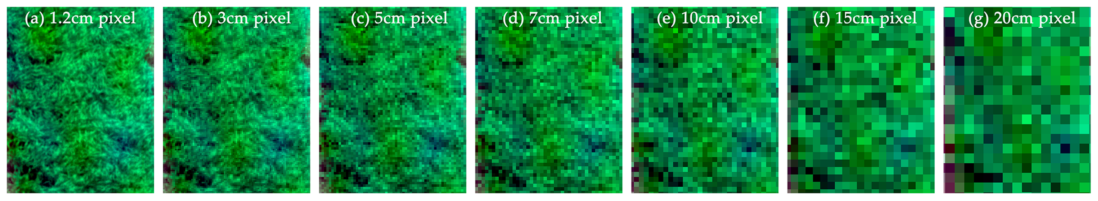 Remotesensing 13 00123 g004 Remotesensing 13 00123 g004