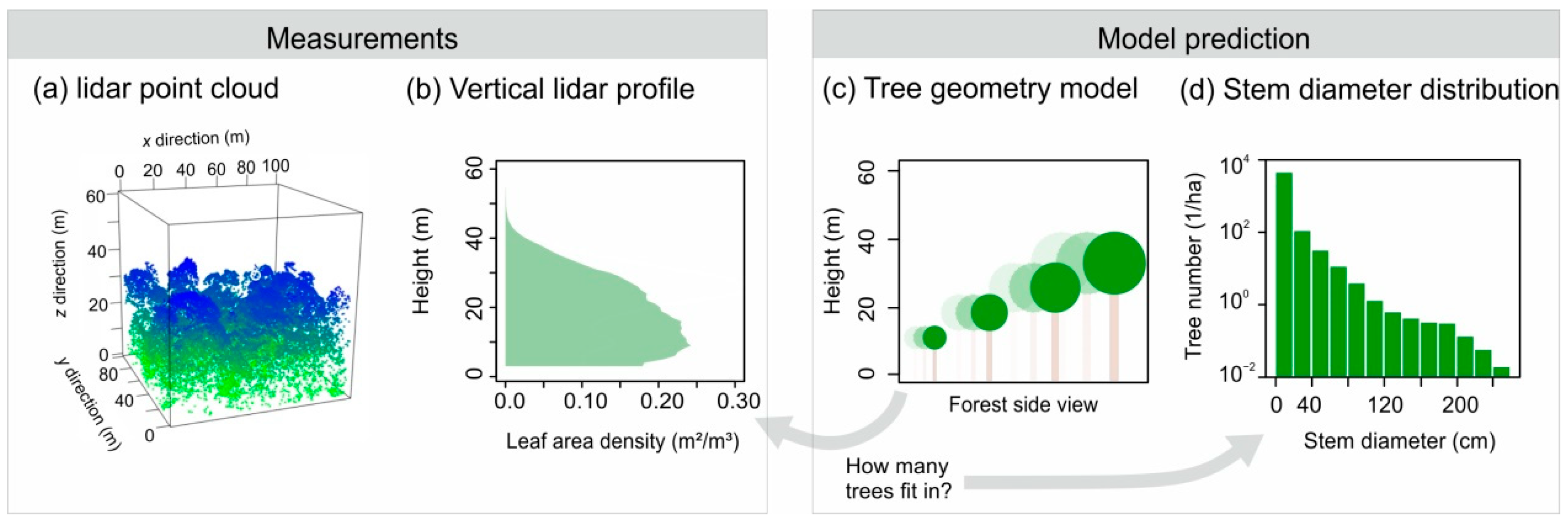 Remotesensing 13 00131 g001