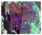 Remotesensing 13 00229 i001 Remotesensing 13 00229 i001