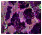Remotesensing 13 00229 i004 Remotesensing 13 00229 i004