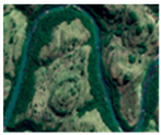 Remotesensing 13 00229 i011 Remotesensing 13 00229 i011