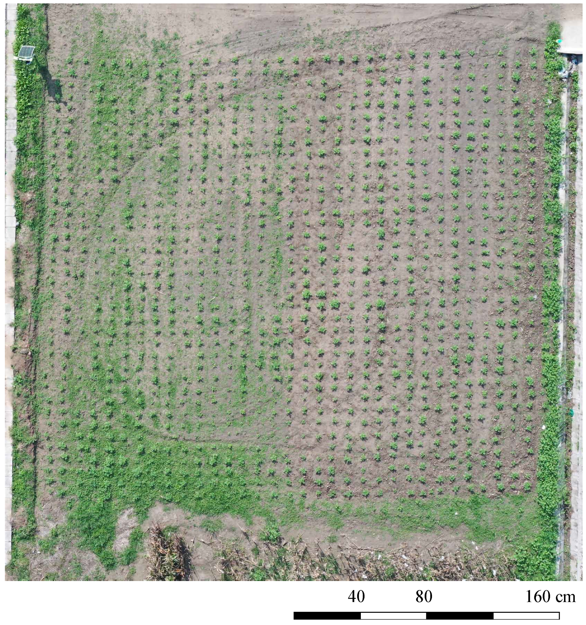 Remotesensing 13 00310 g004 Remotesensing 13 00310 g004
